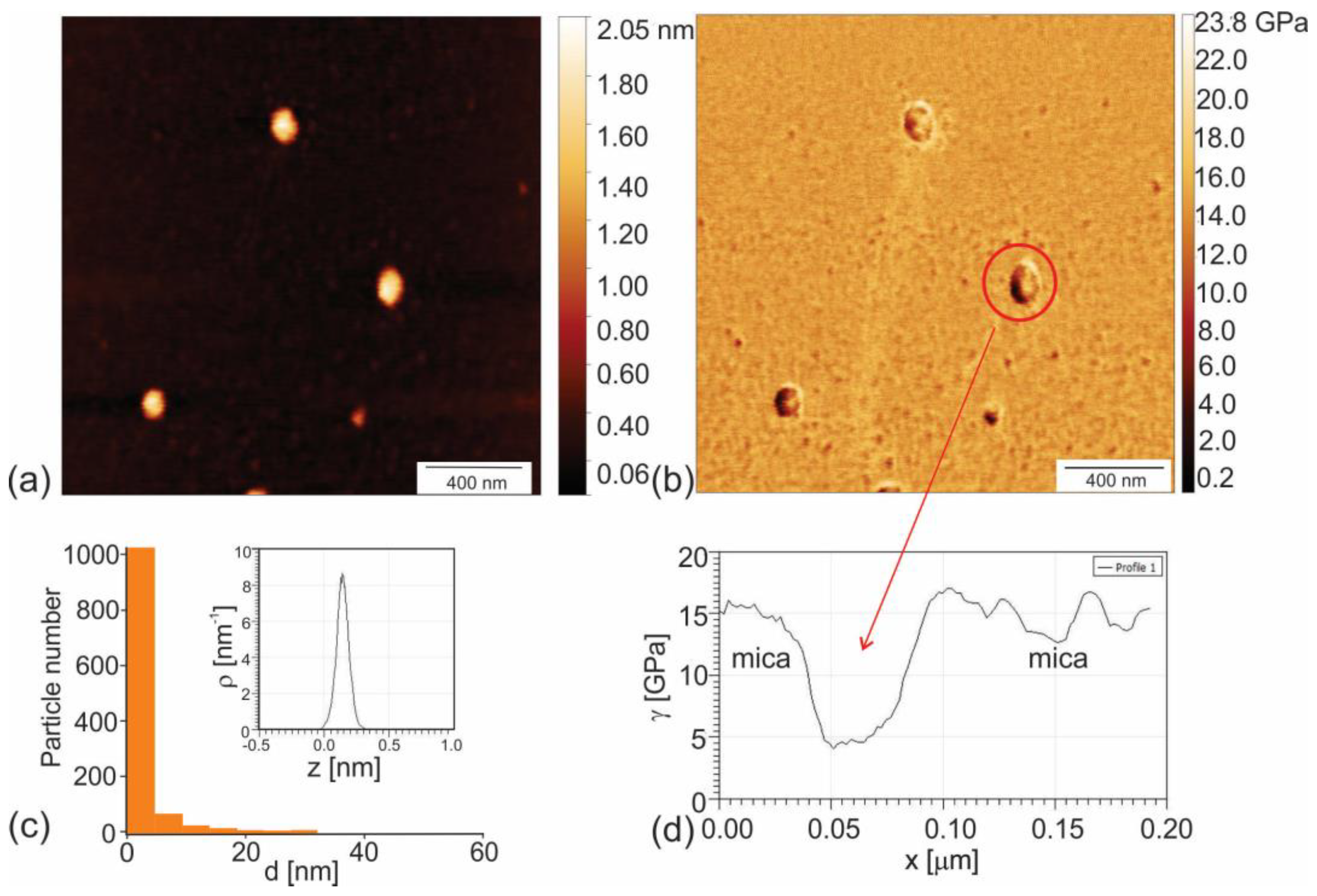 Polymers 16 01646 g001