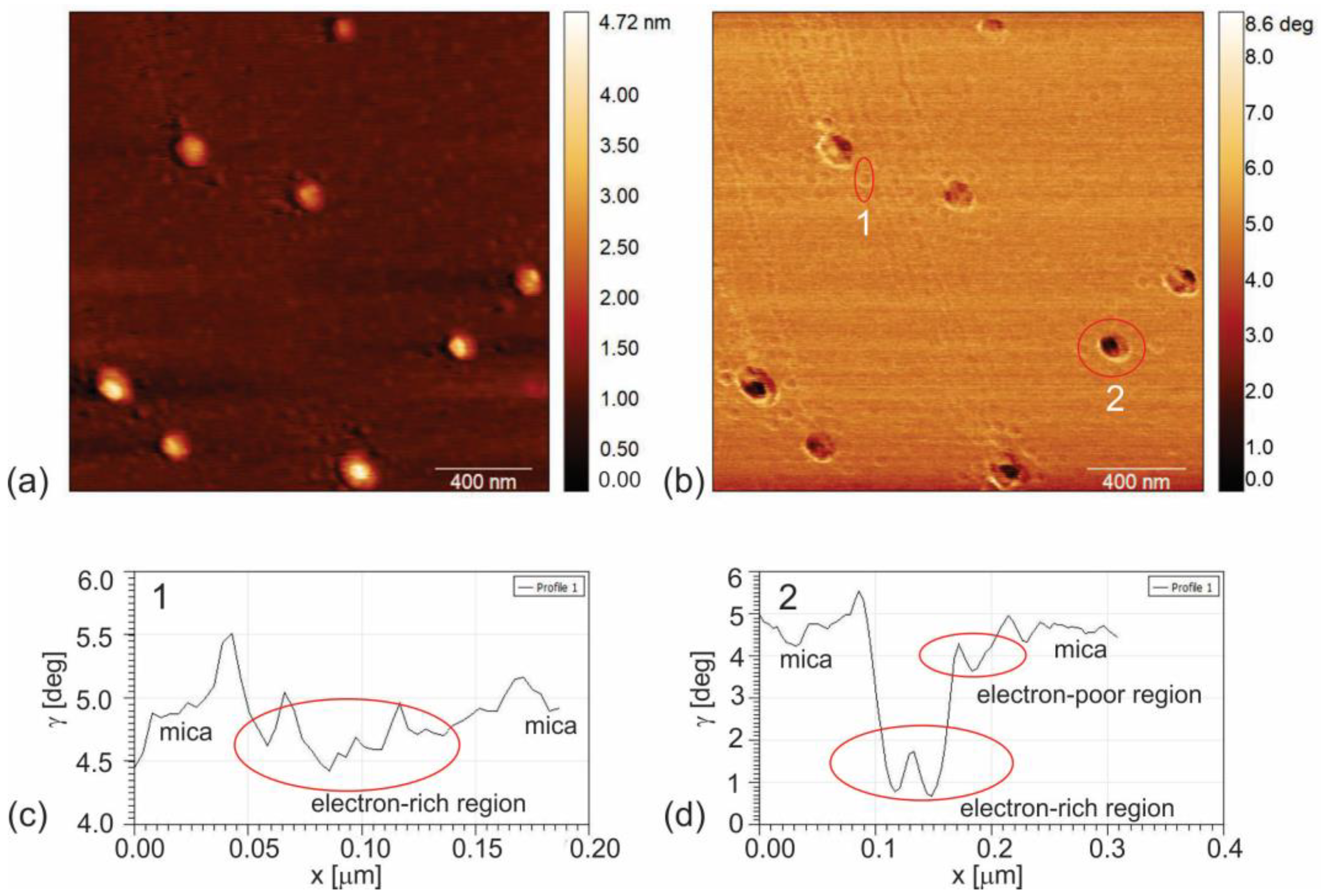 Polymers 16 01646 g002