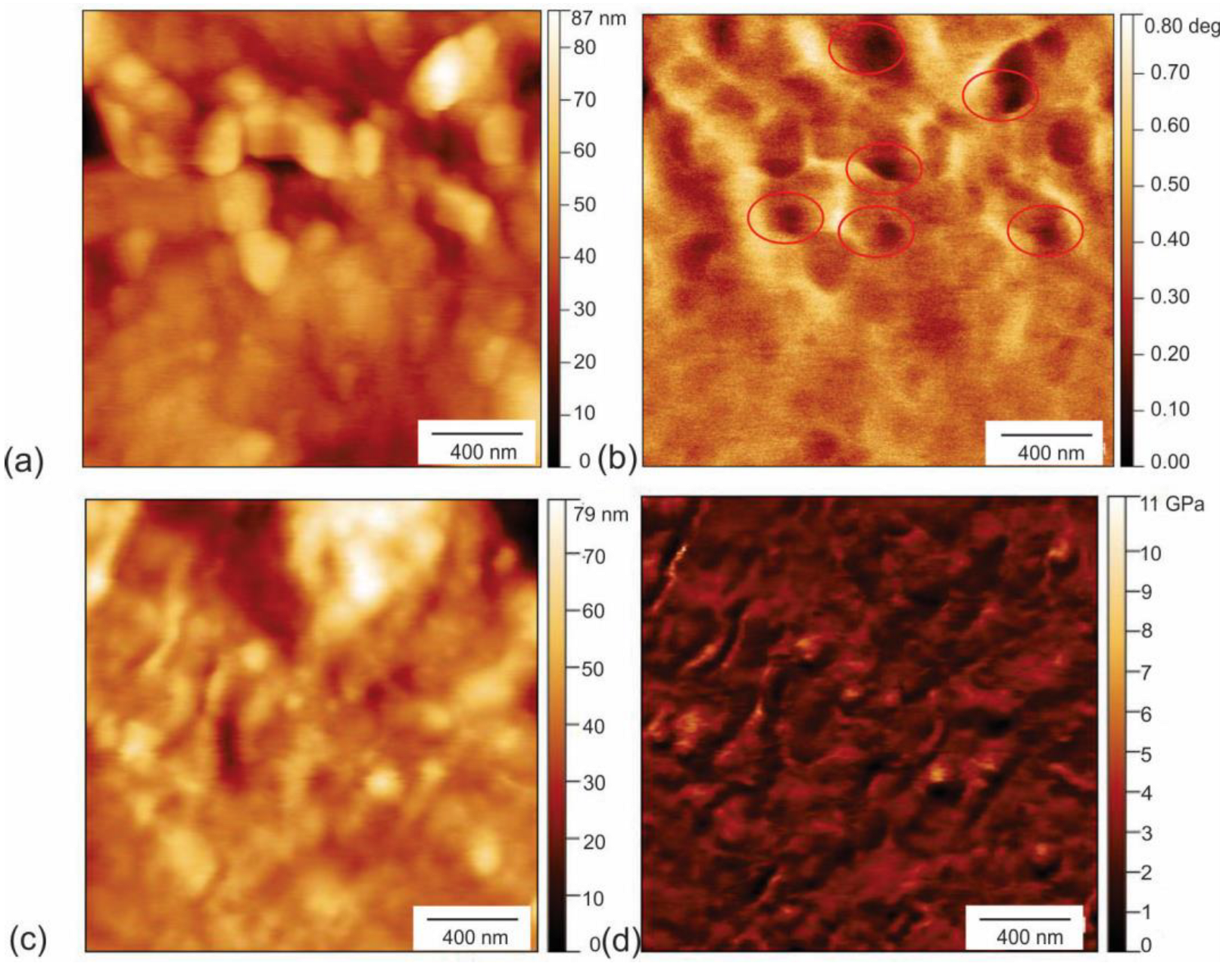 Polymers 16 01646 g003