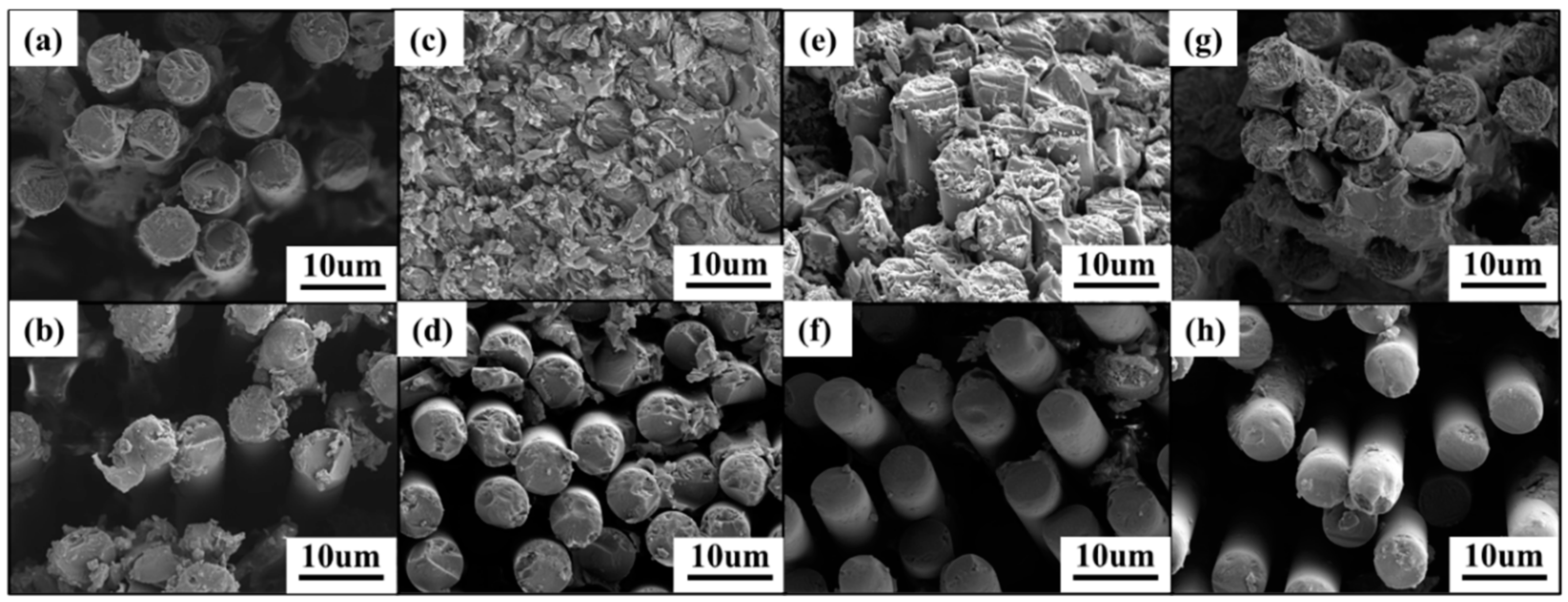 Polymers 16 01649 g007 Polymers 16 01649 g007