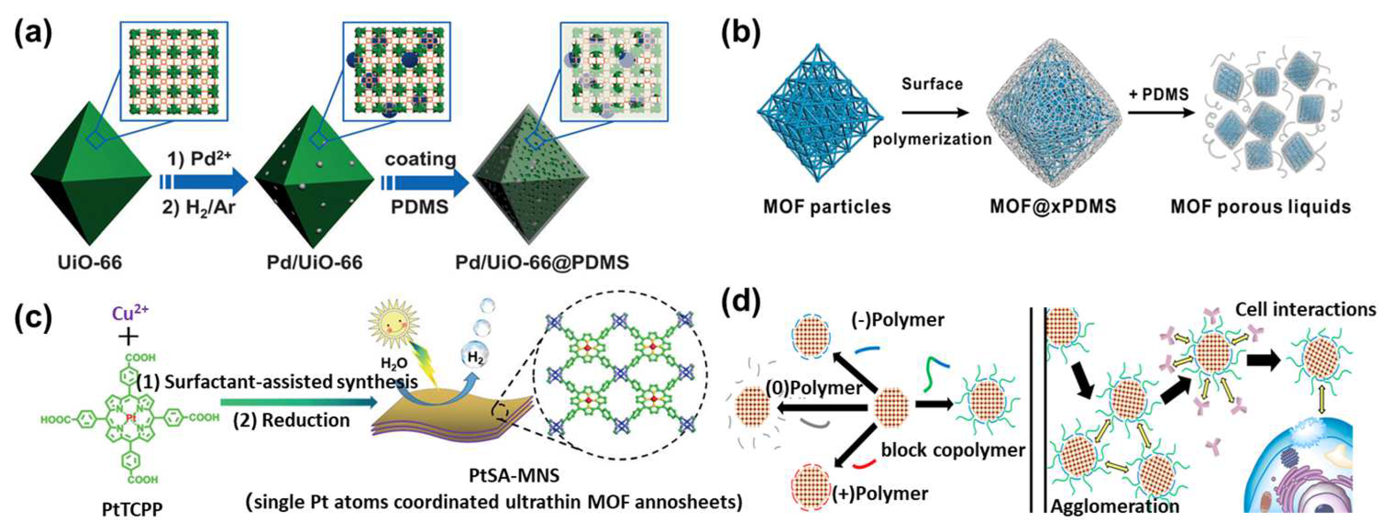 Polymers 16 01653 g002