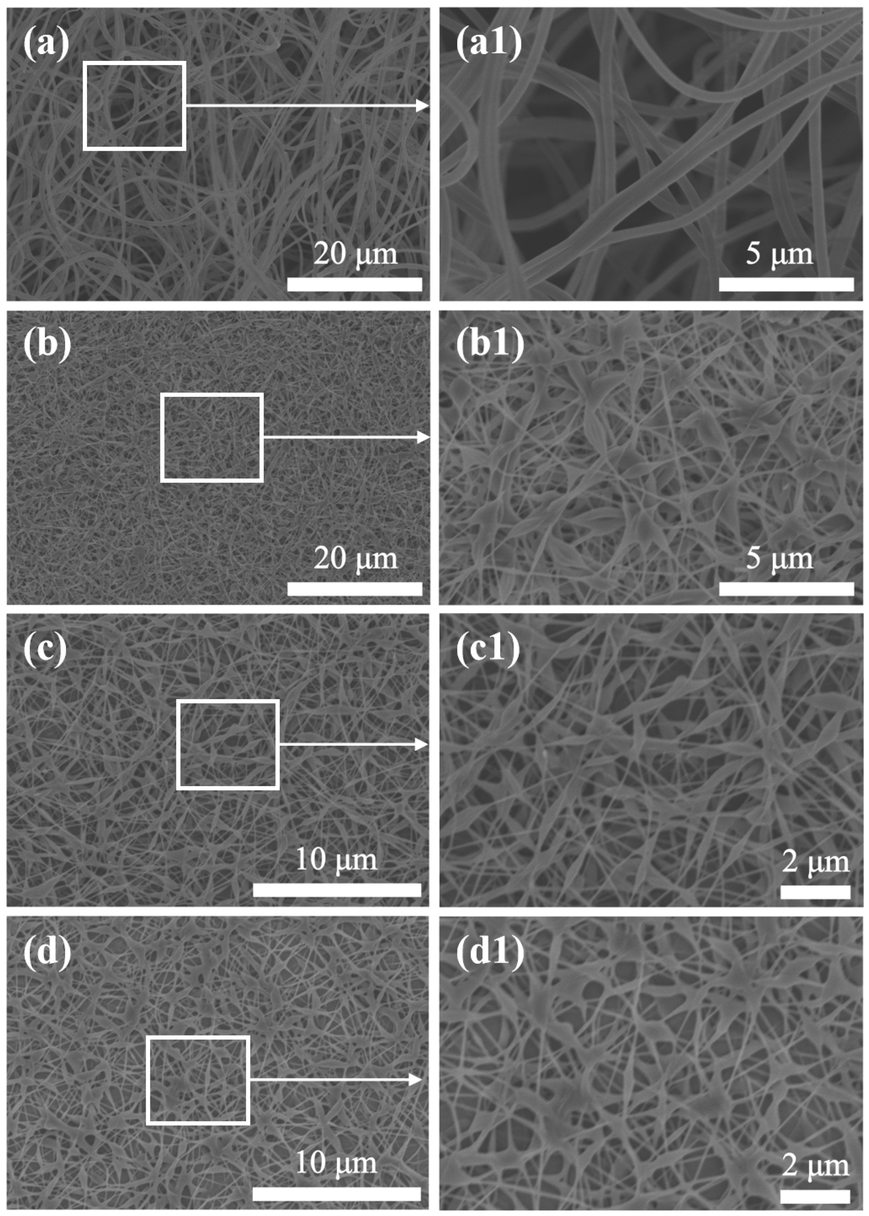 Polymers 16 01656 g003