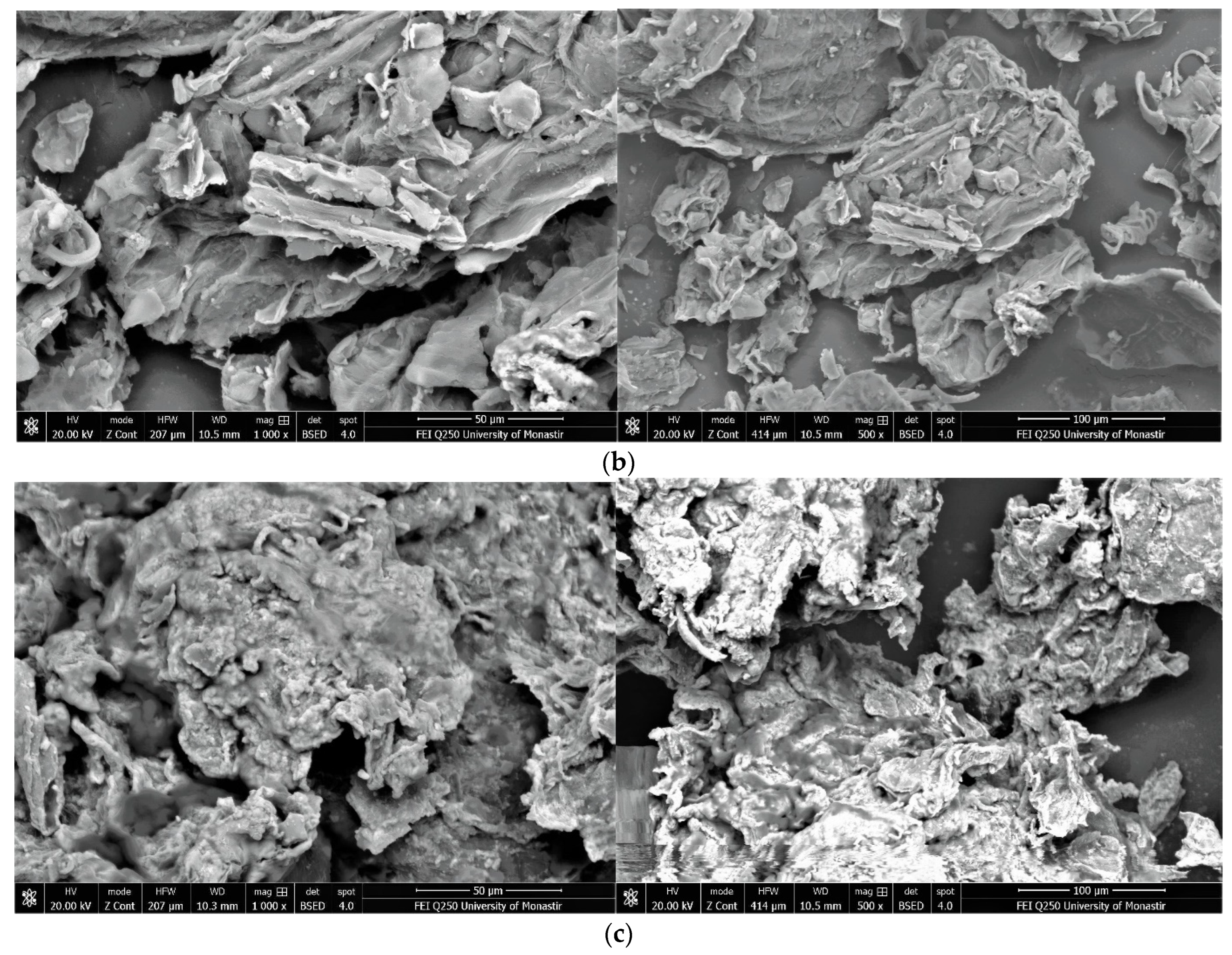 Polymers 16 01661 g004b