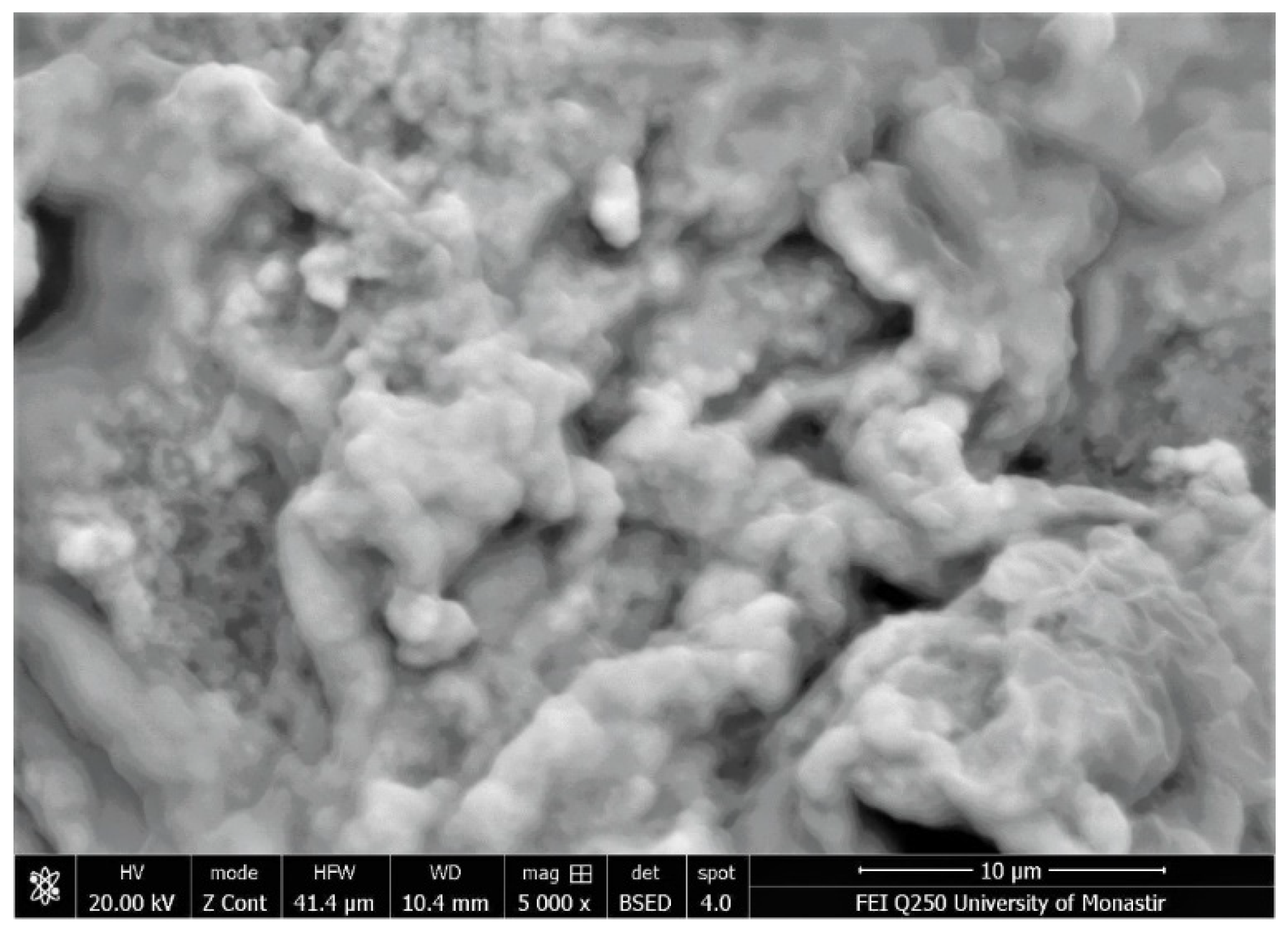 Polymers 16 01661 g005