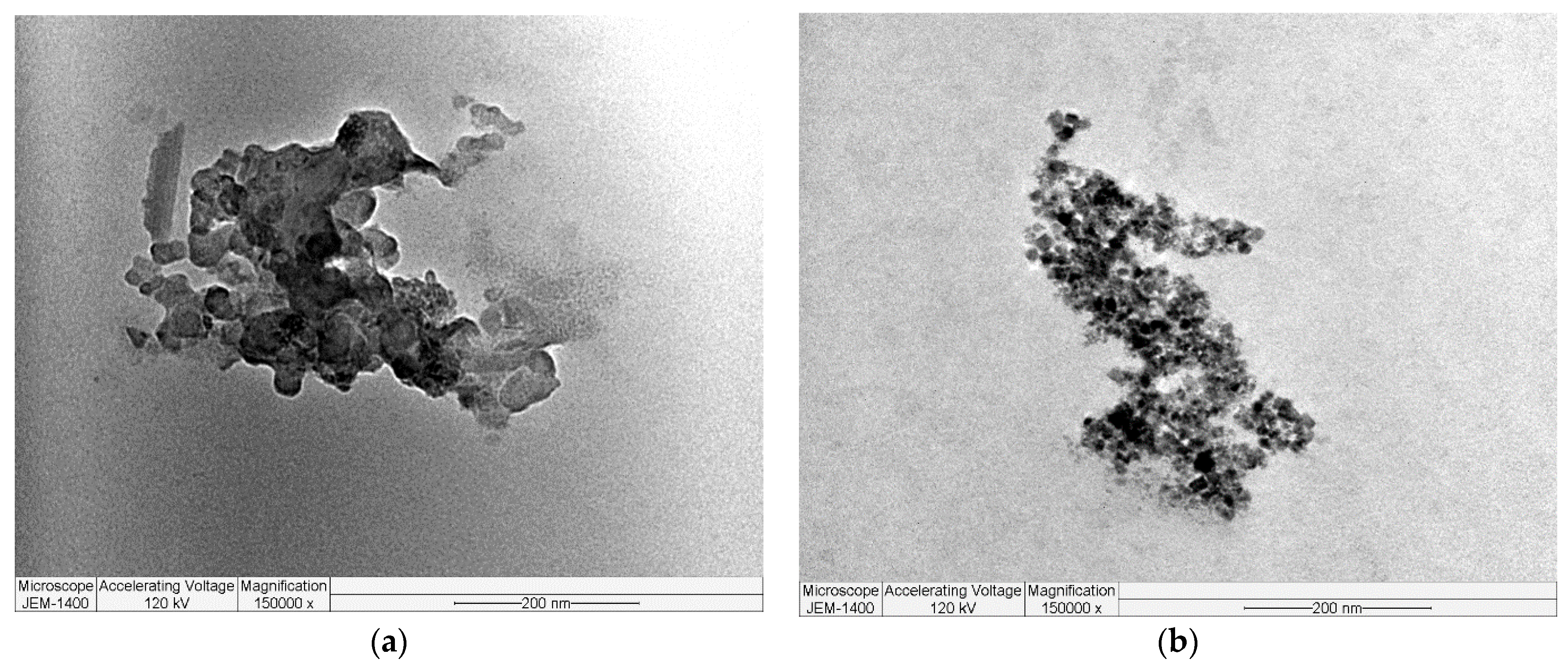 Polymers 16 01661 g007