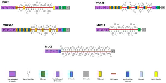 Polymers 16 01663 g001