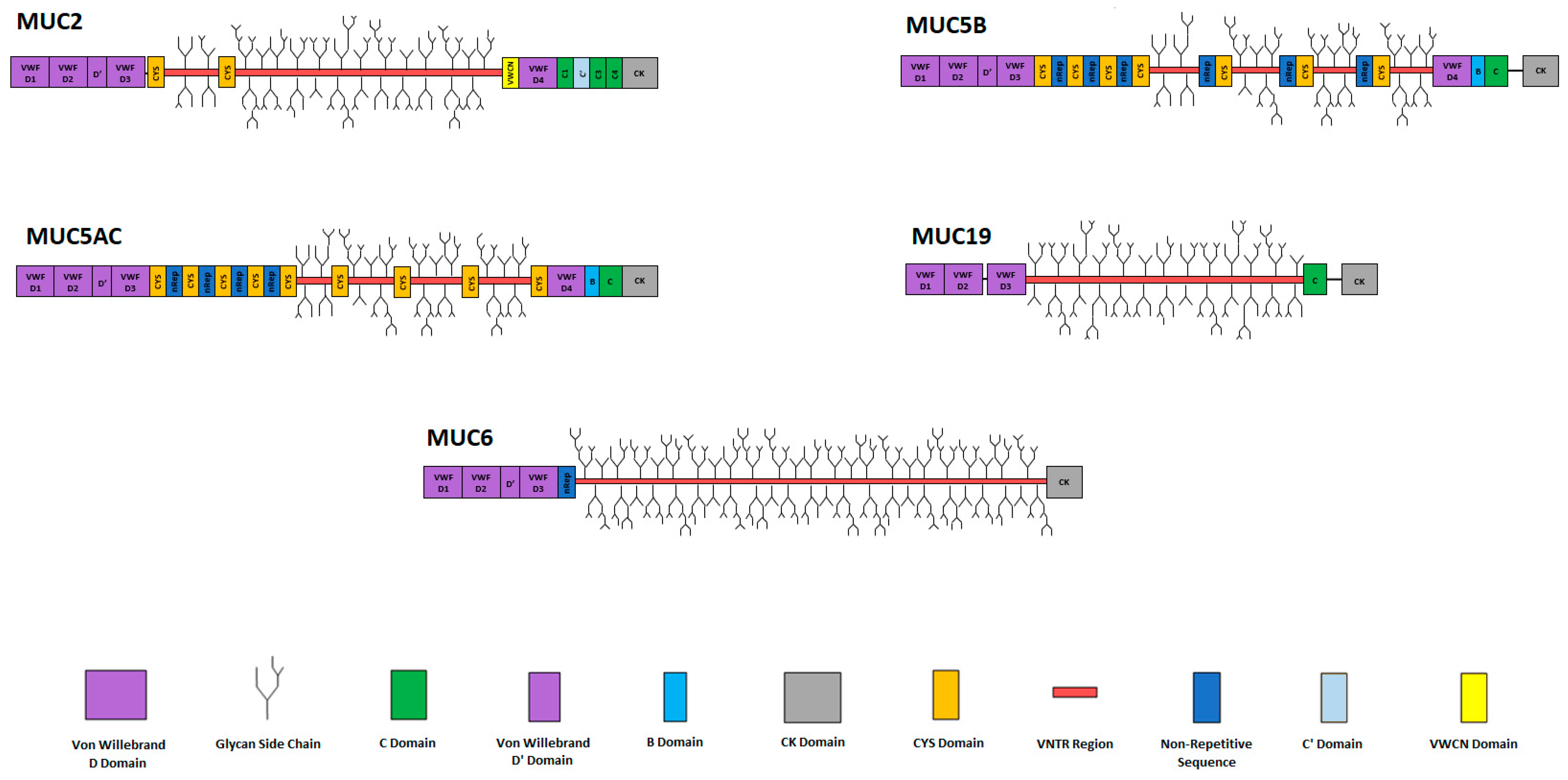 Polymers 16 01663 g001