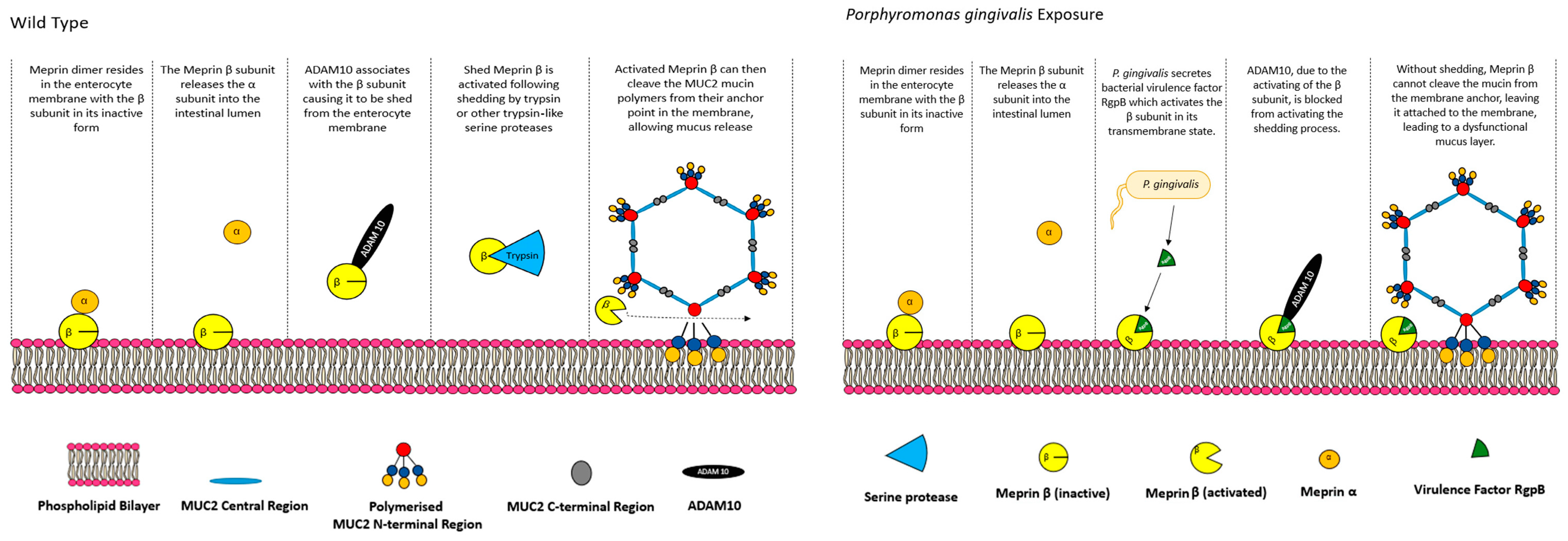 Polymers 16 01663 g003