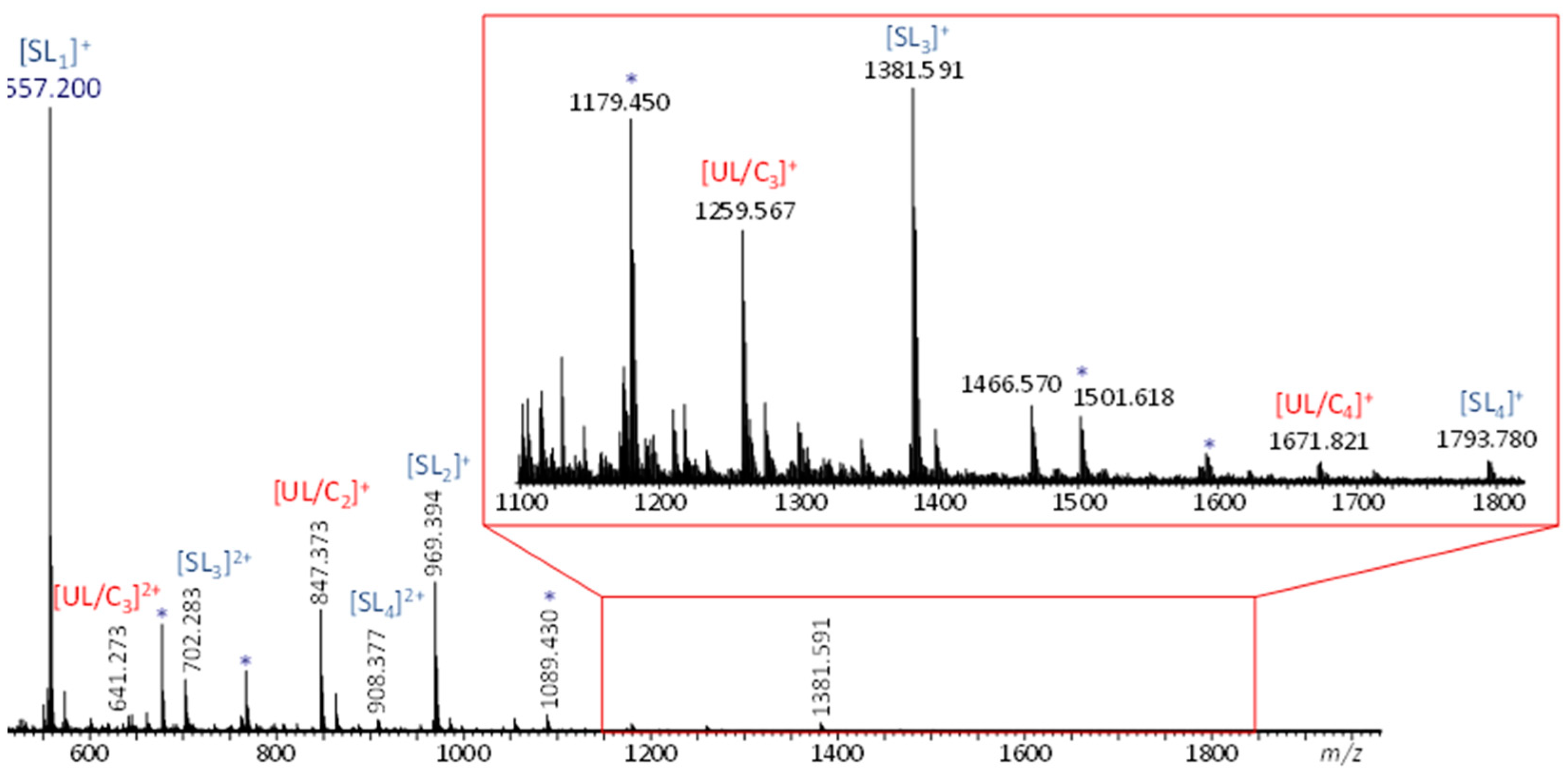 Polymers 16 01665 g002