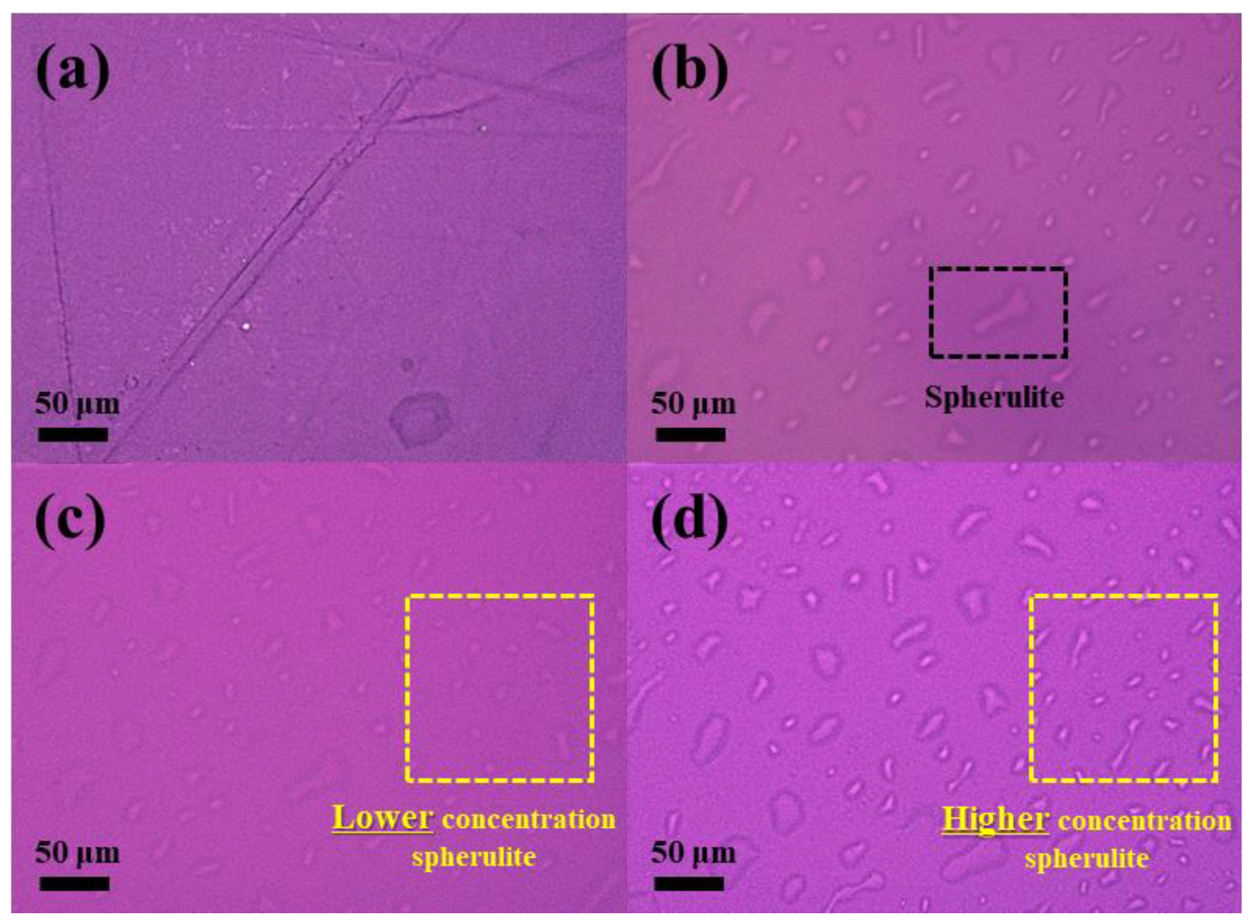 Polymers 16 01666 g007