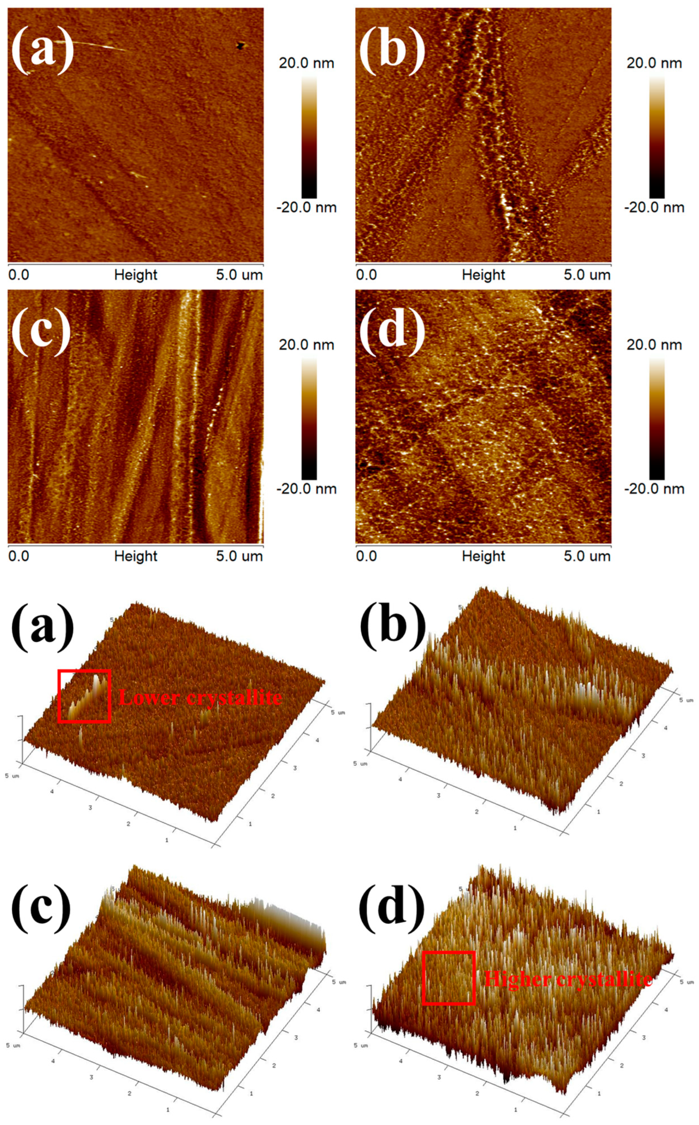 Polymers 16 01666 g008