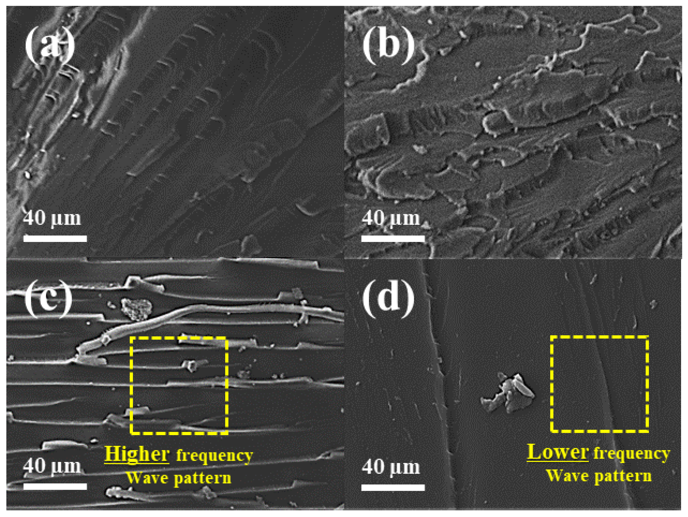 Polymers 16 01666 g012