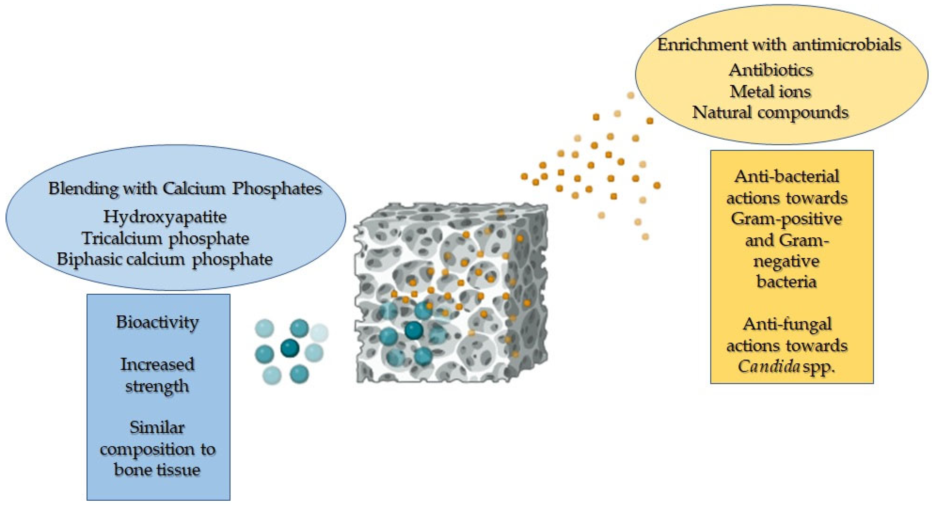 Polymers 16 01668 g002