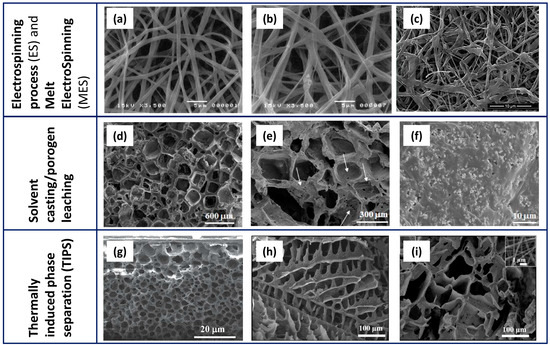 Polymers 16 01668 g003