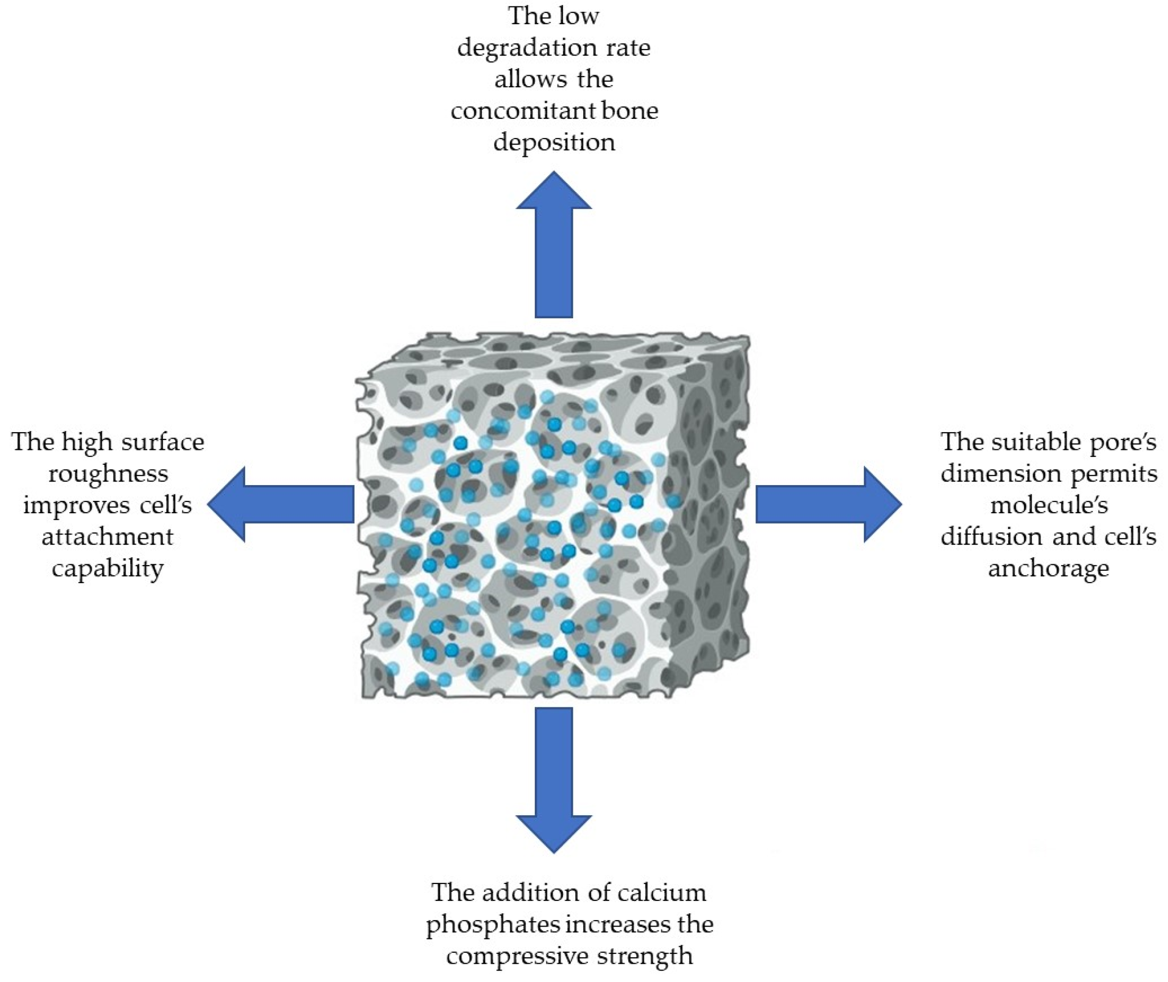 Polymers 16 01668 g005
