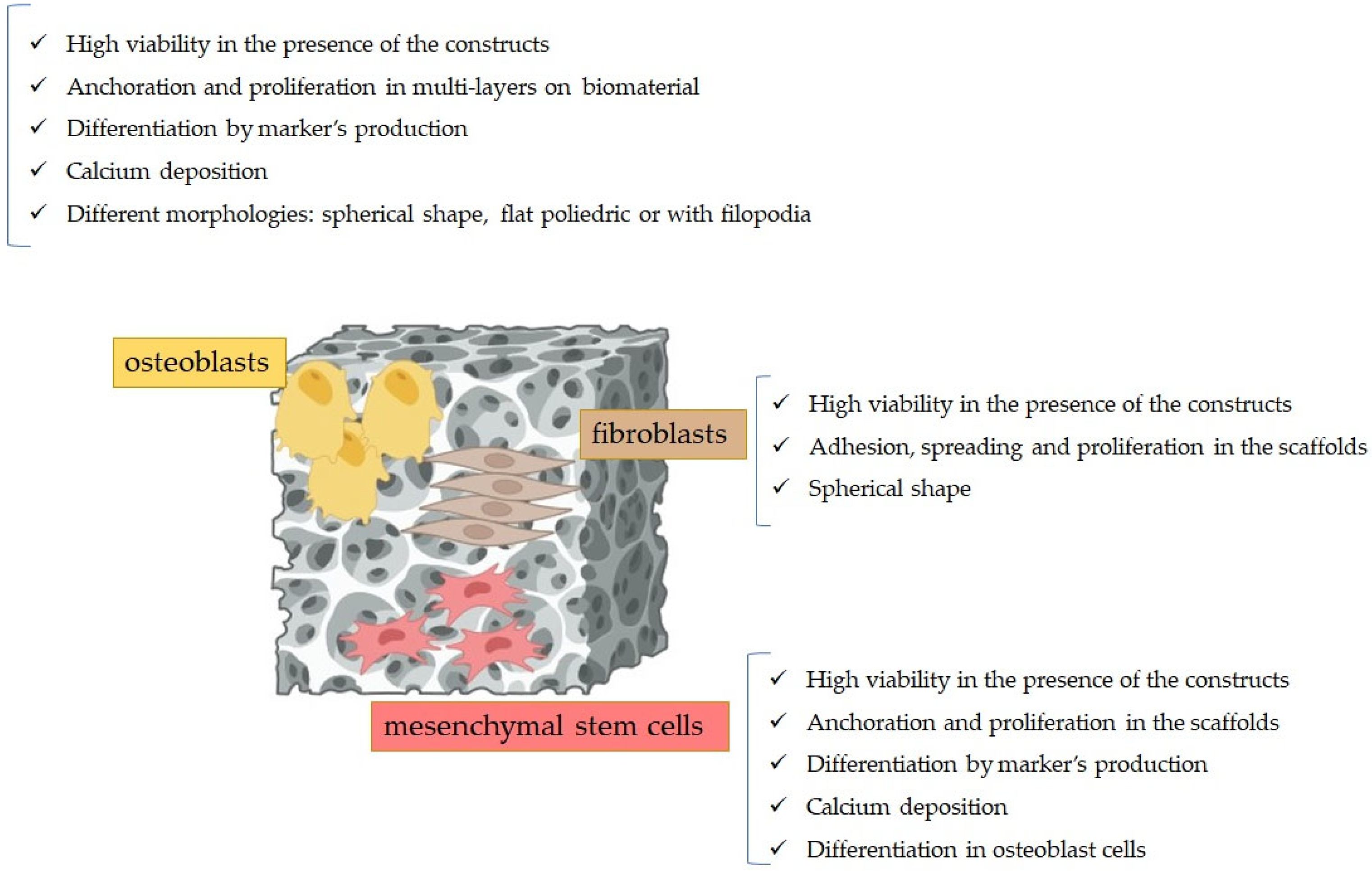 Polymers 16 01668 g006