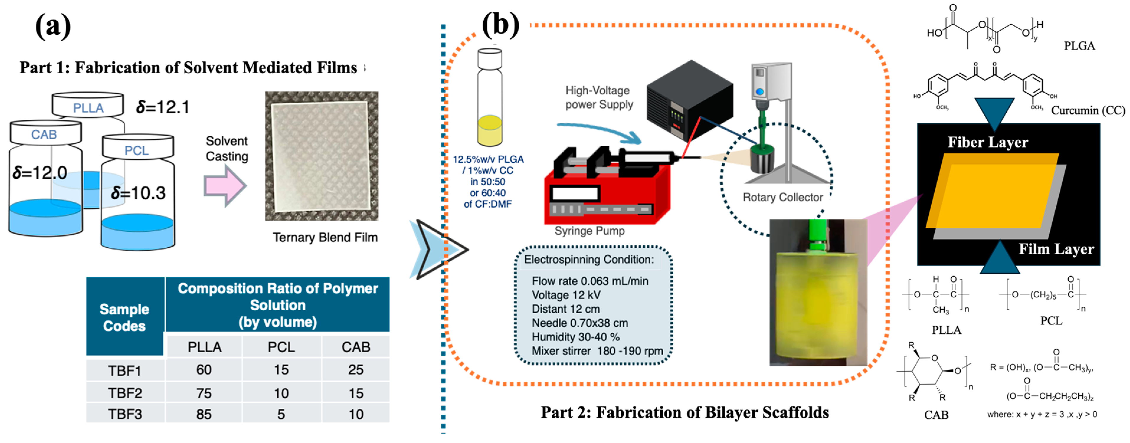 Polymers 16 01679 g001