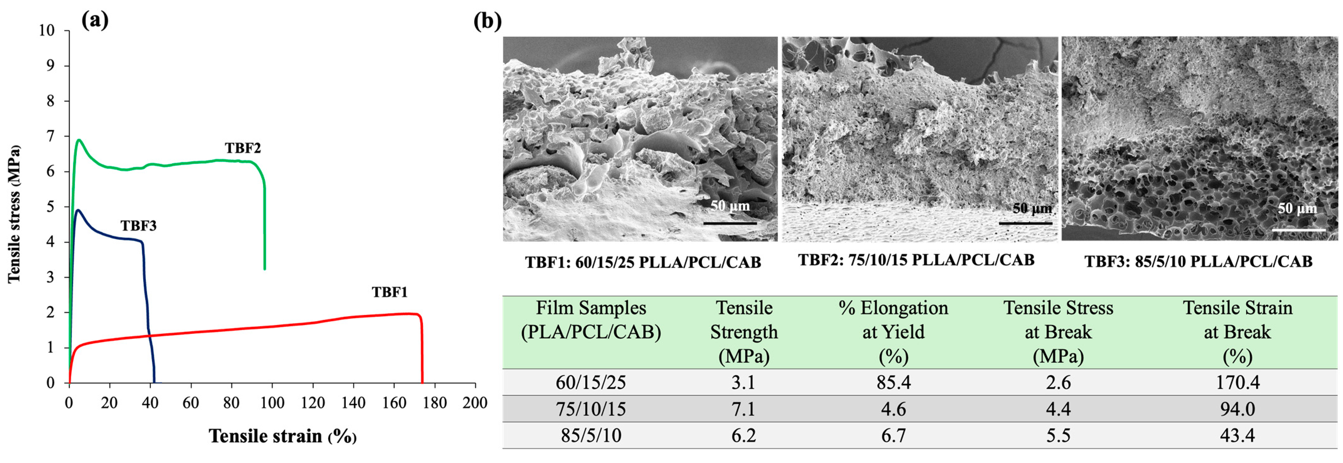 Polymers 16 01679 g003