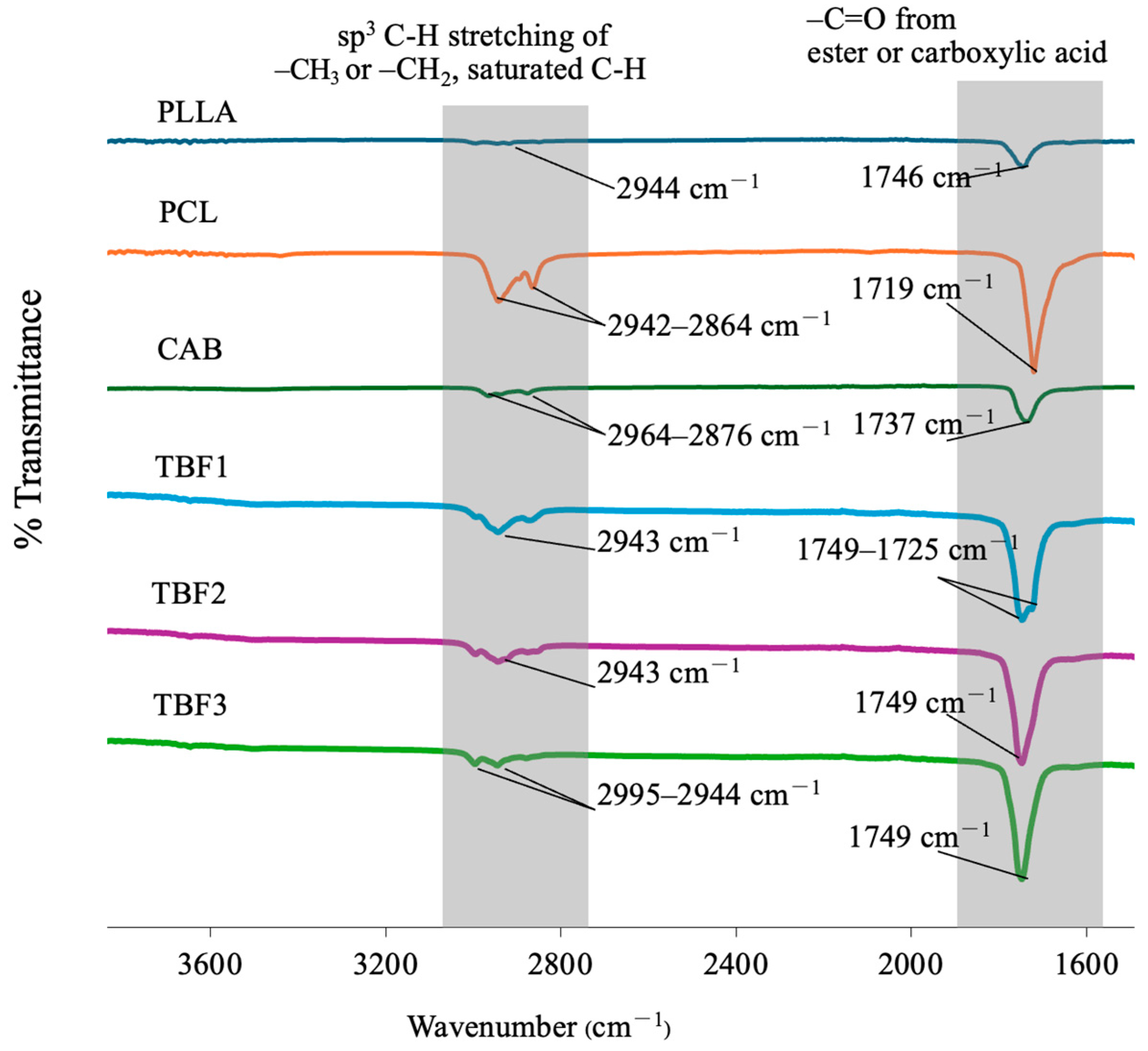 Polymers 16 01679 g004