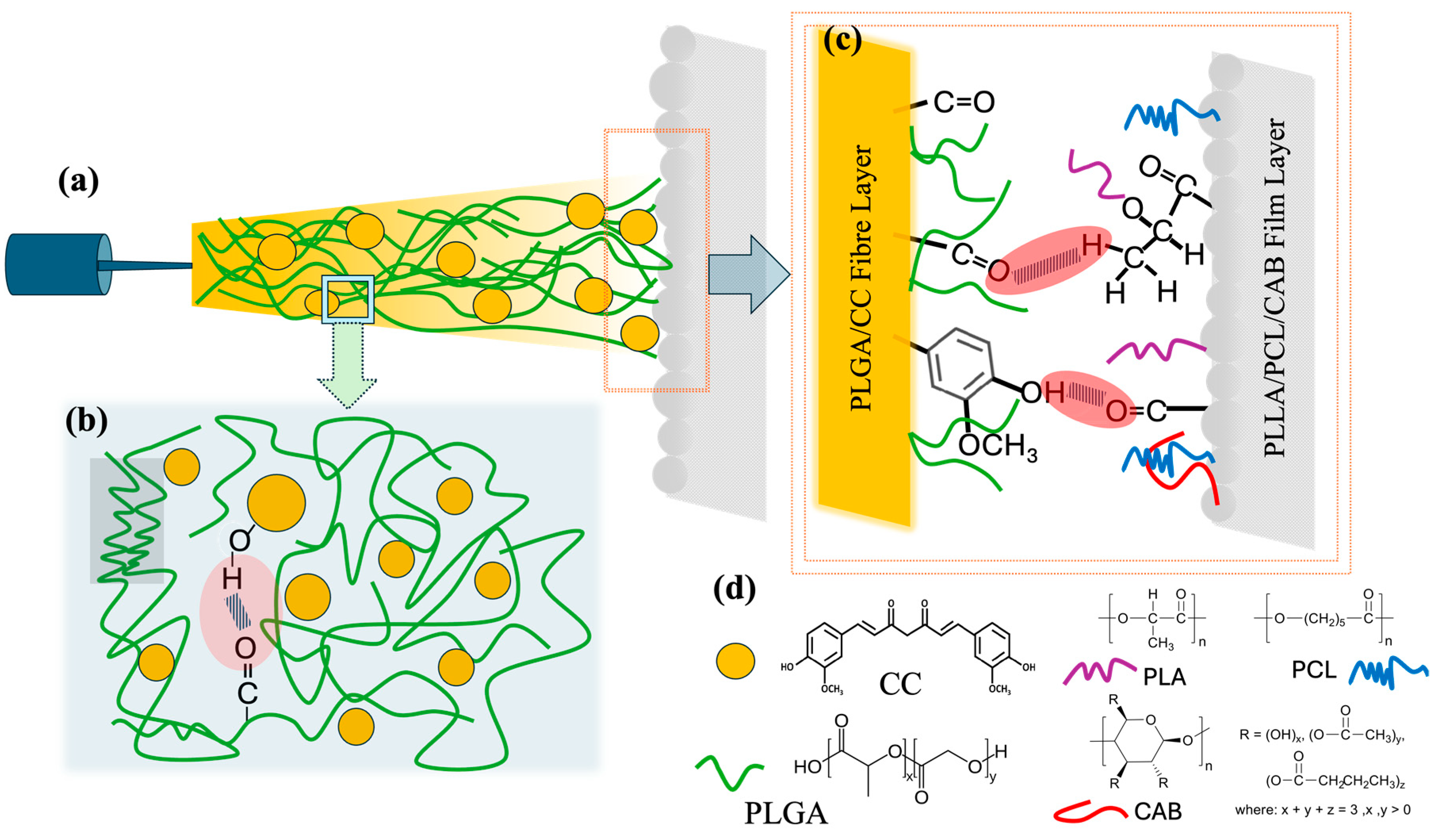 Polymers 16 01679 g009