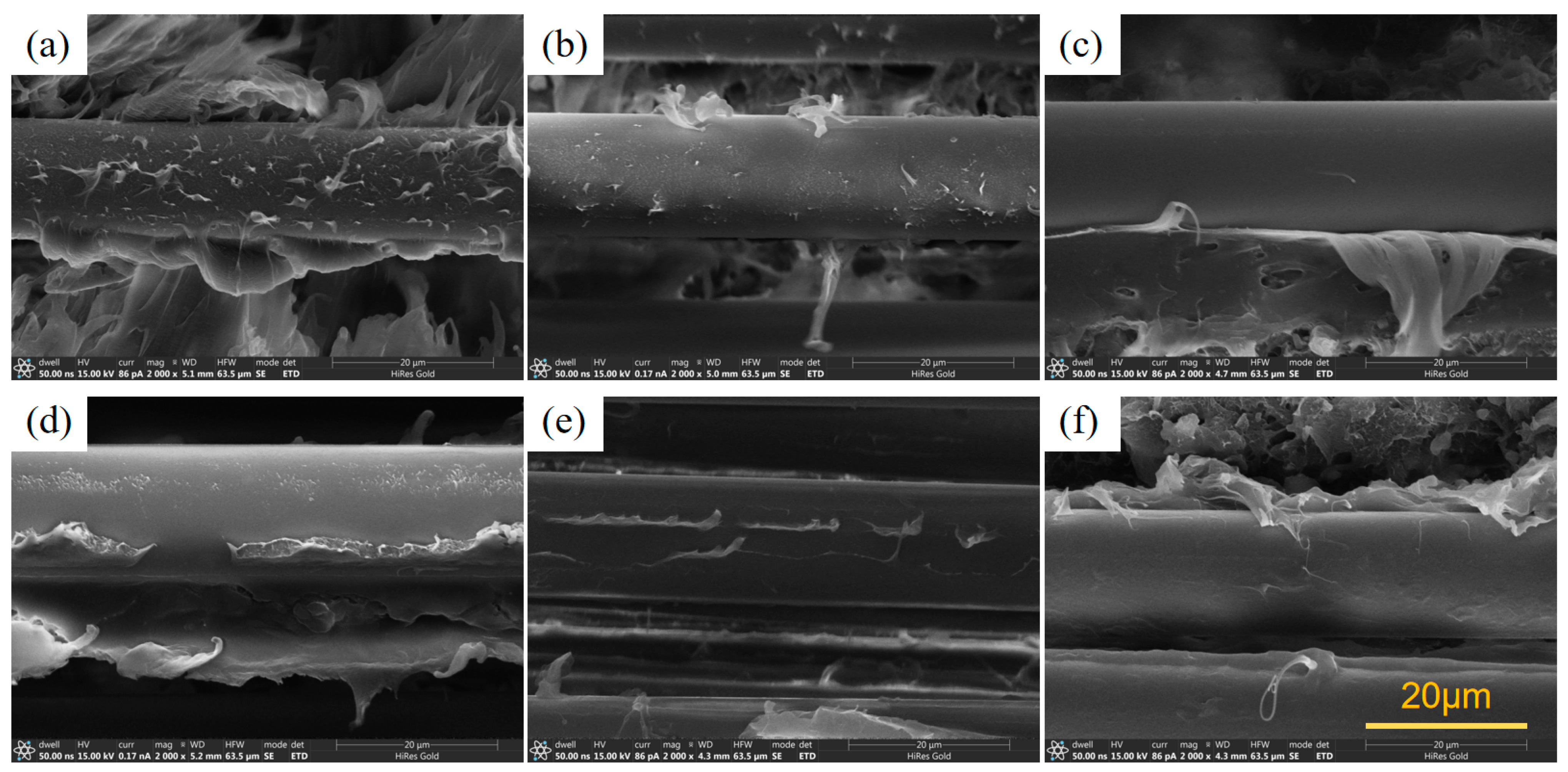 Polymers 16 01681 g004