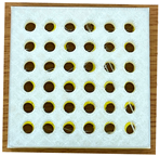 Polymers 16 01684 i011