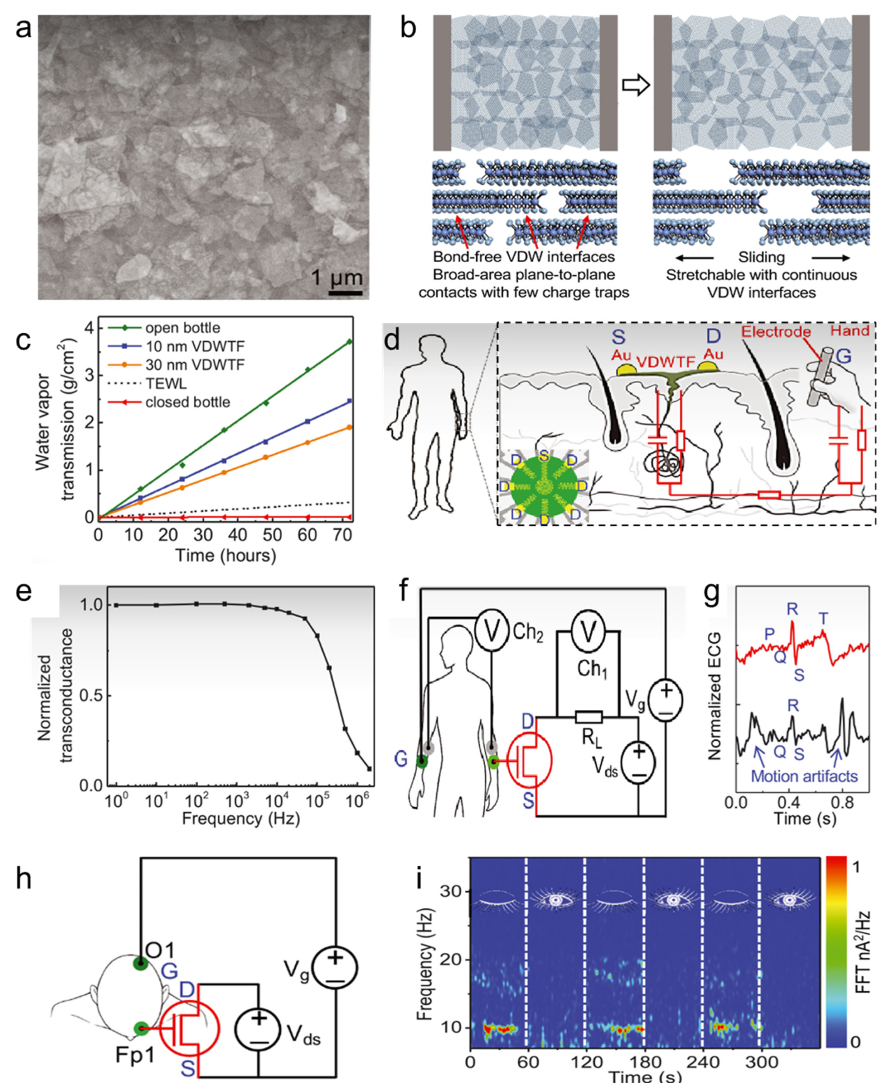 Polymers 16 01686 g002