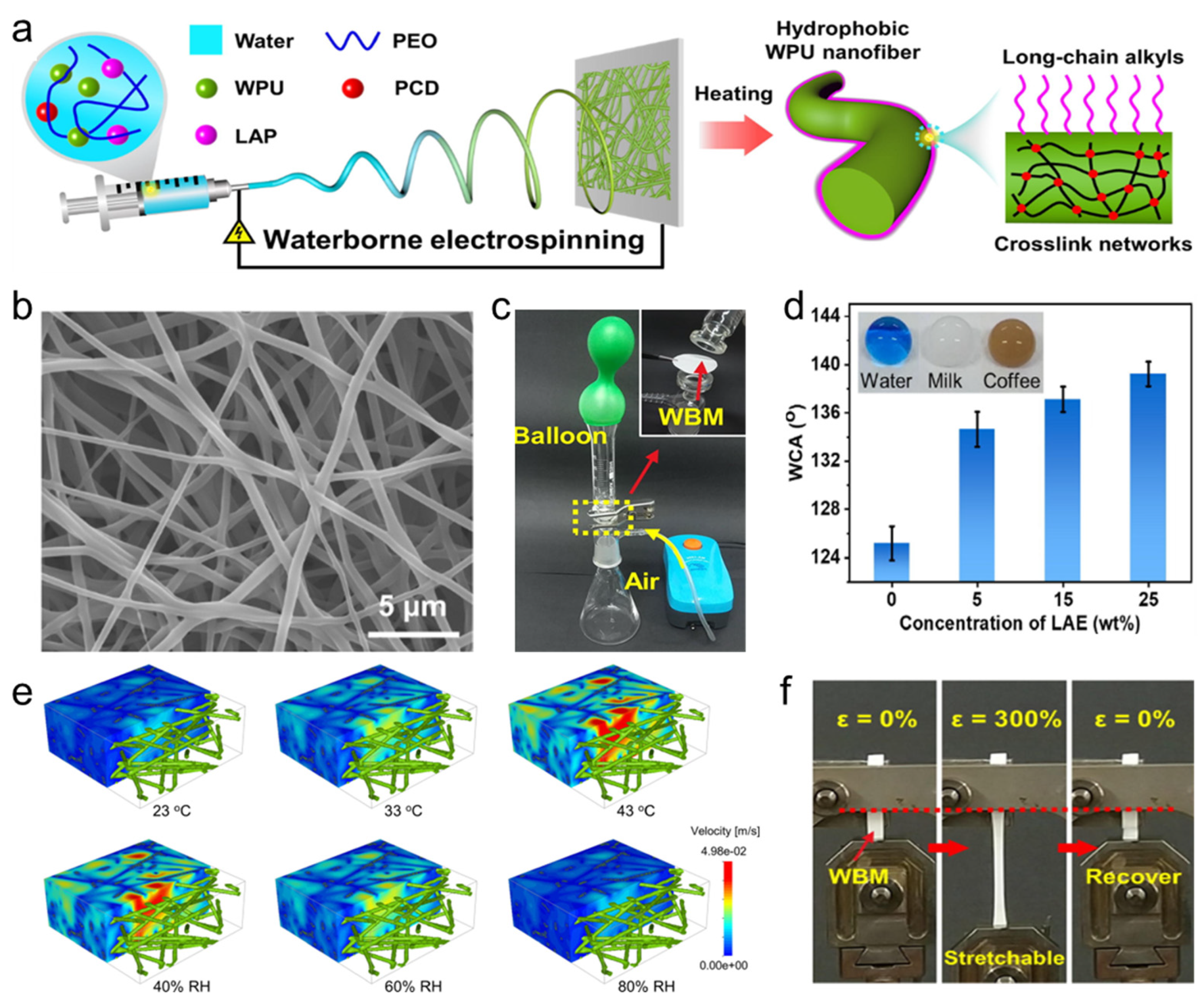Polymers 16 01686 g006