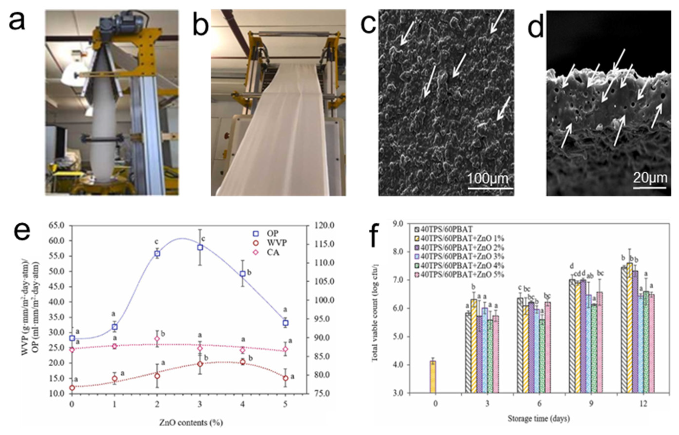 Polymers 16 01686 g008