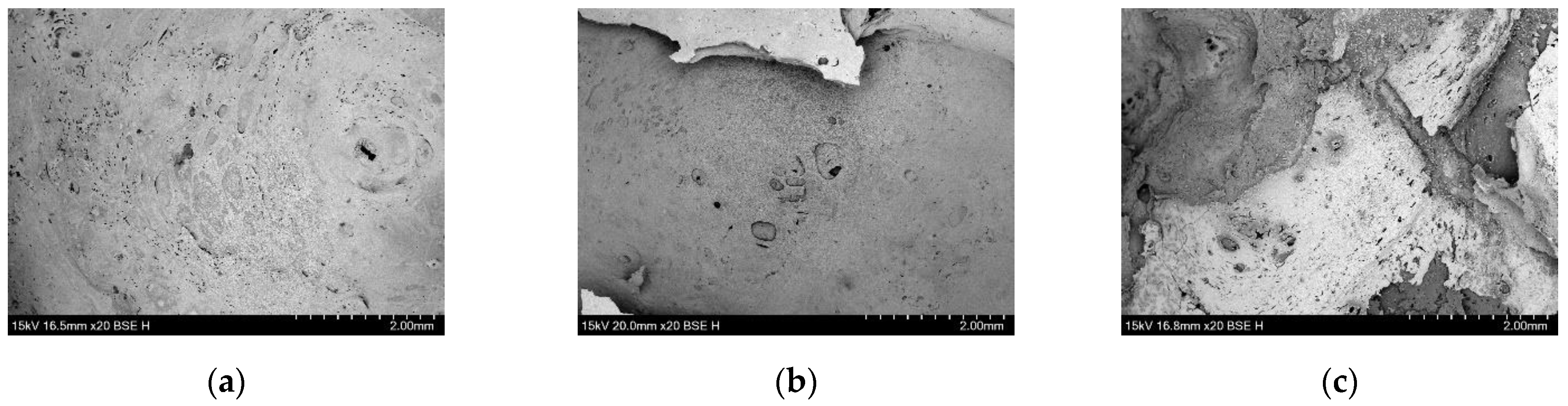 Polymers 16 01690 g006
