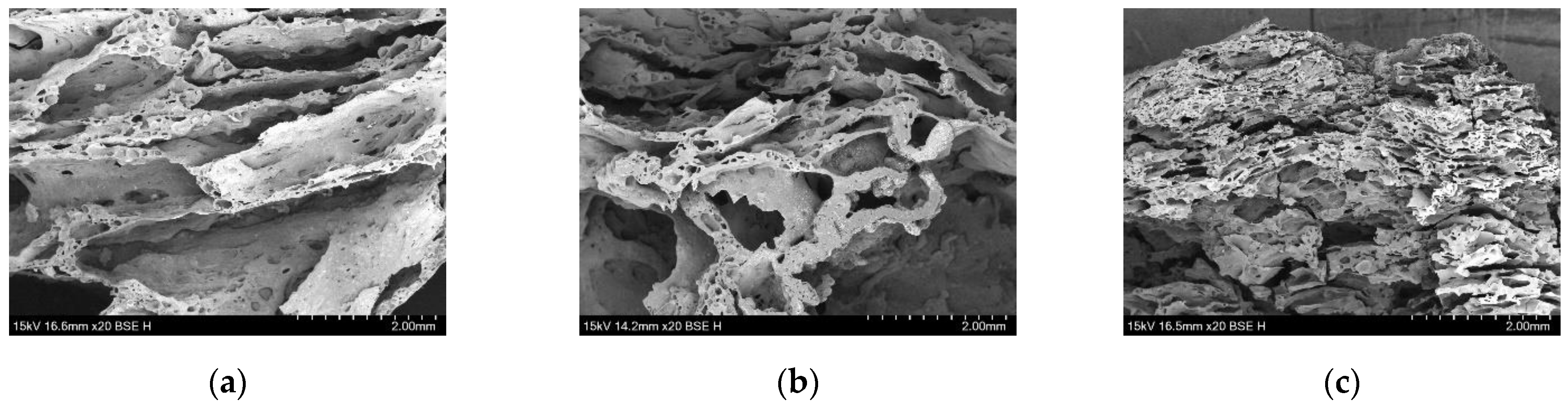 Polymers 16 01690 g007