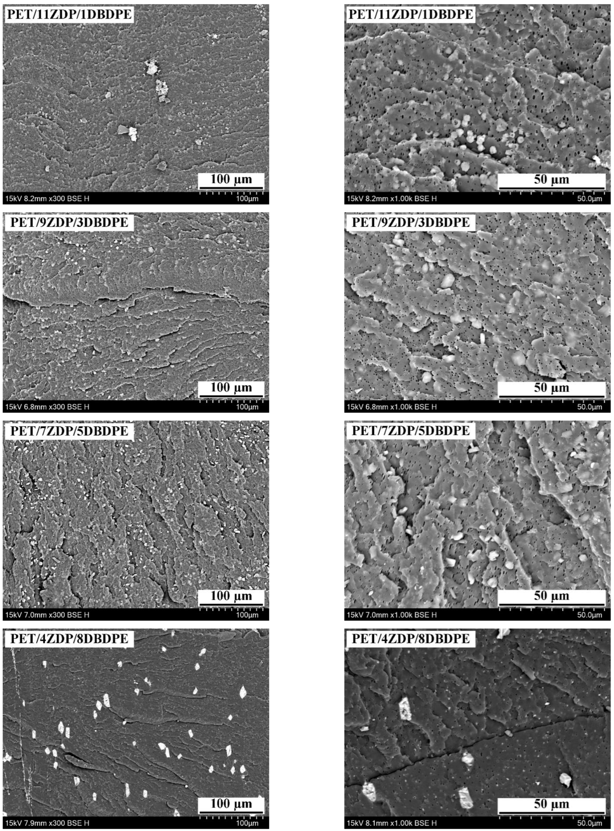 Polymers 16 01690 g014a