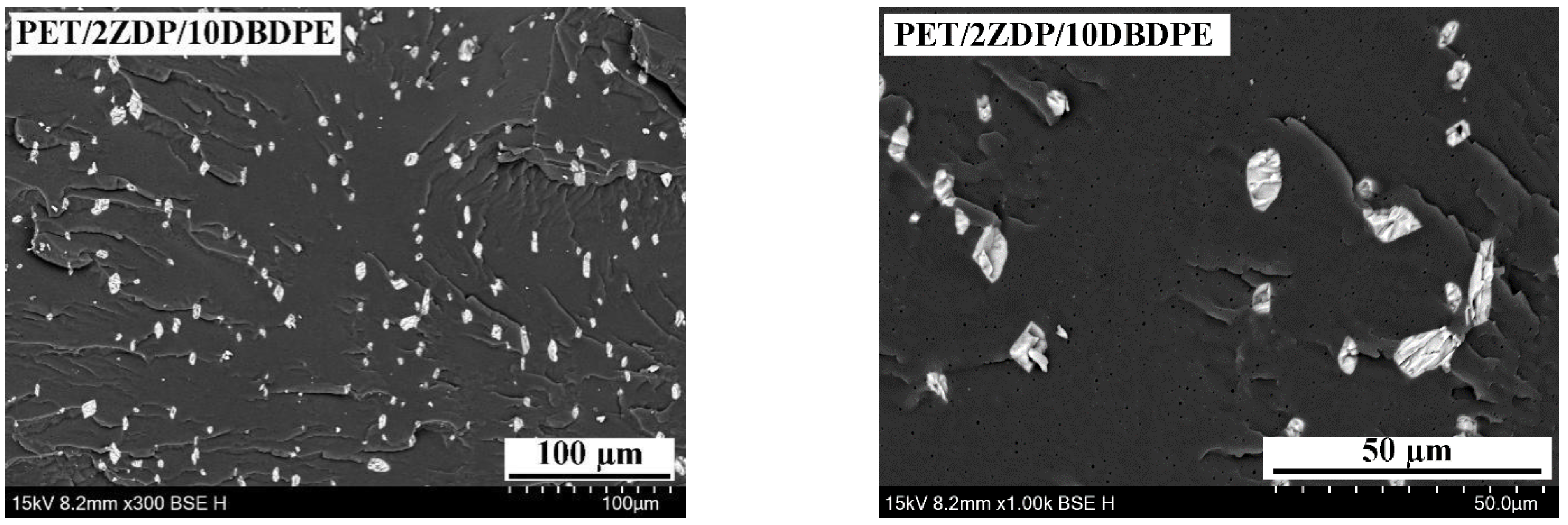 Polymers 16 01690 g014b