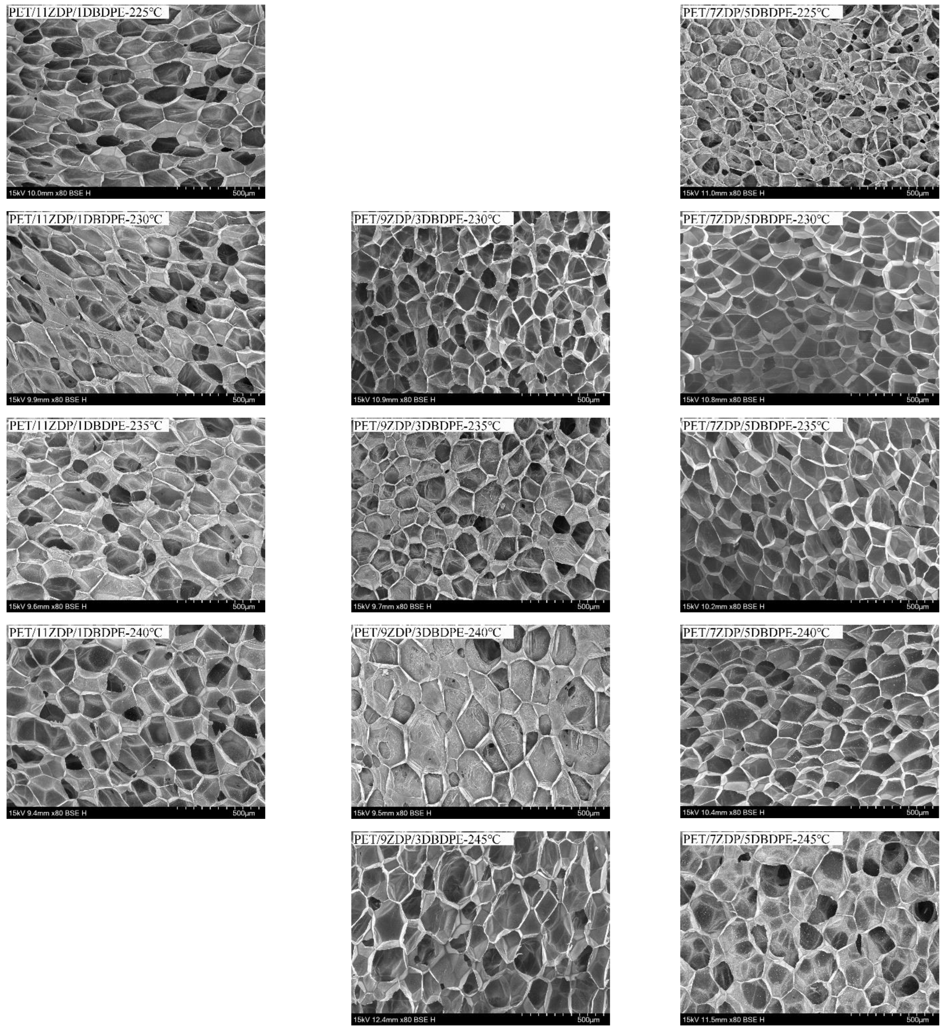 Polymers 16 01690 g017