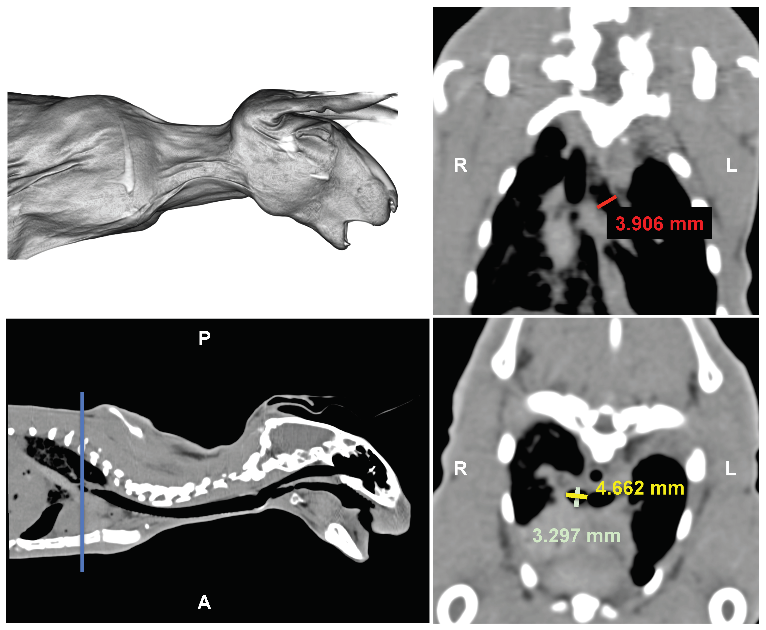 Polymers 16 01691 g004 Polymers 16 01691 g004