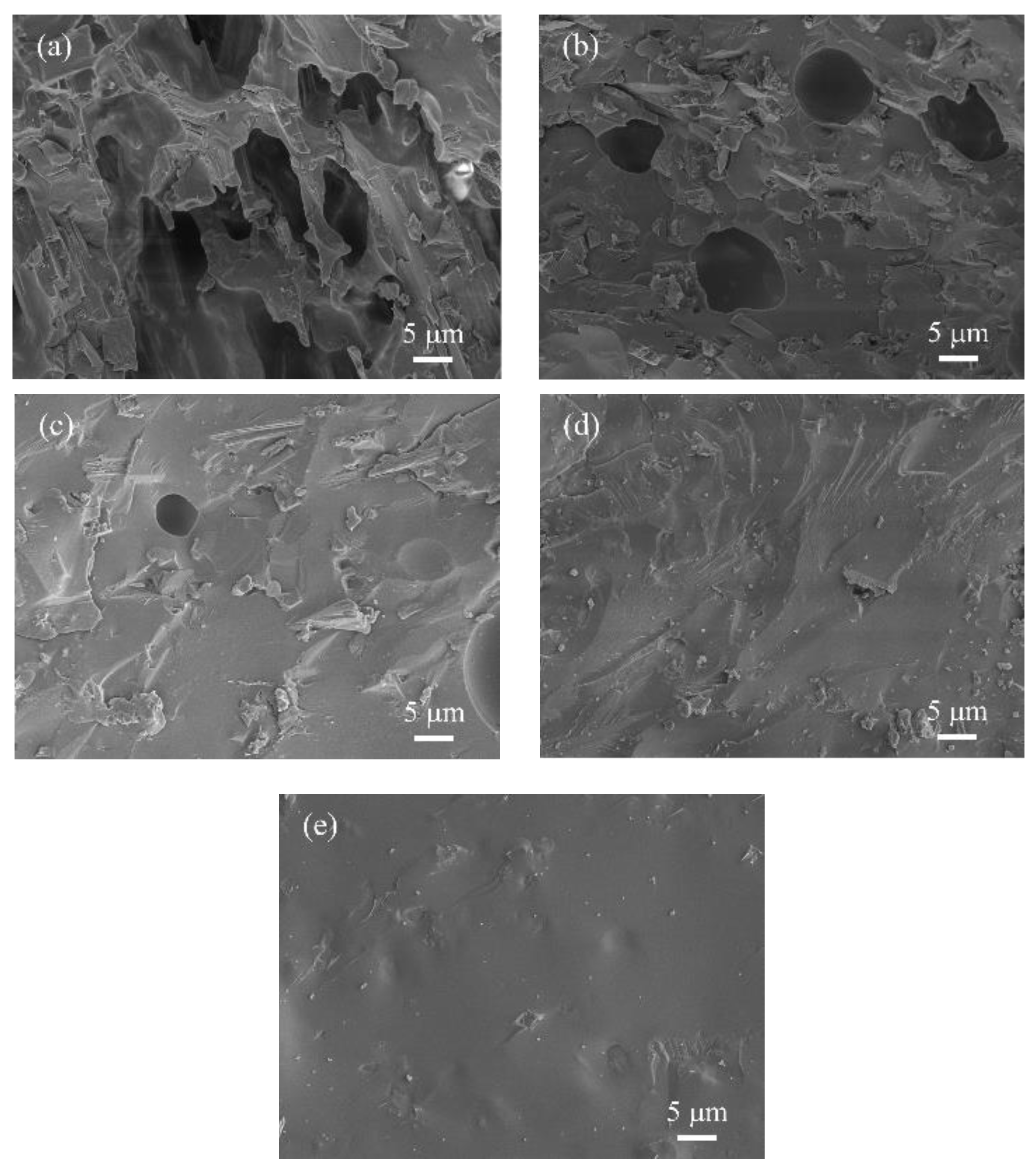 Polymers 16 01695 g007