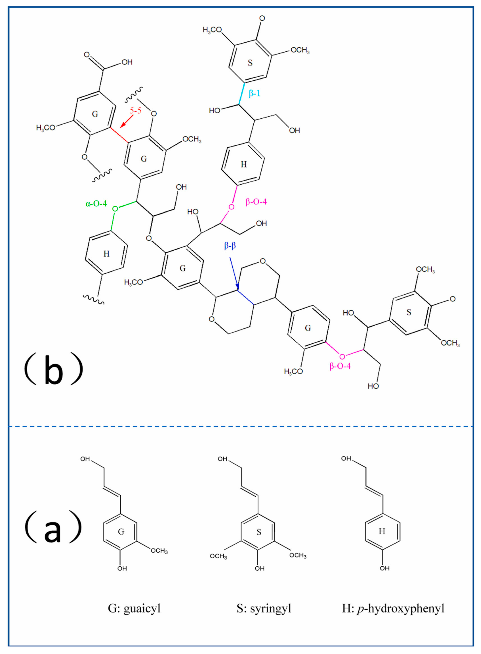 Polymers 16 01701 g001