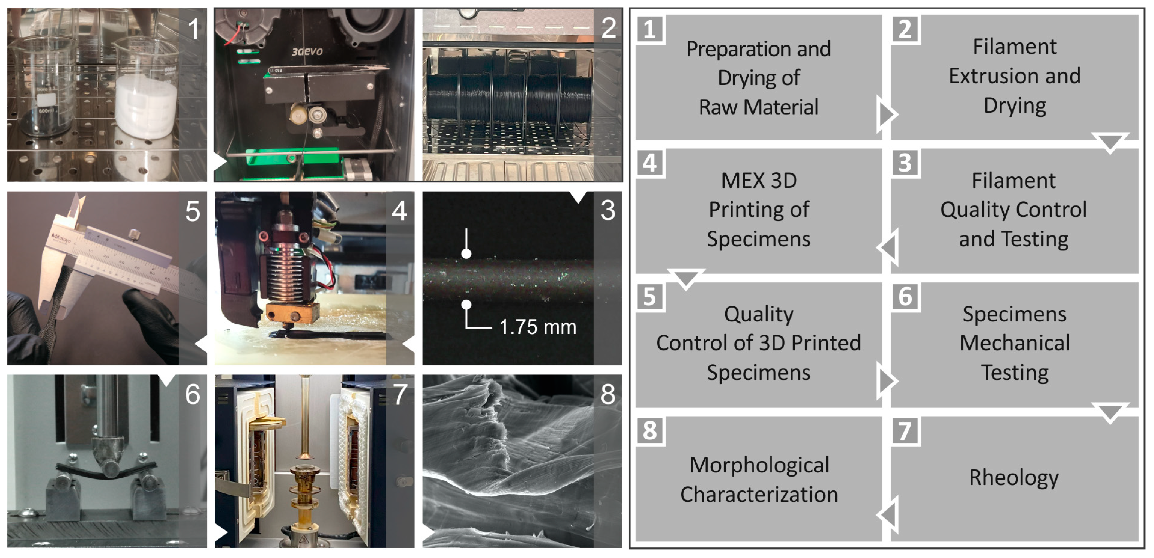 Polymers 16 01702 g001
