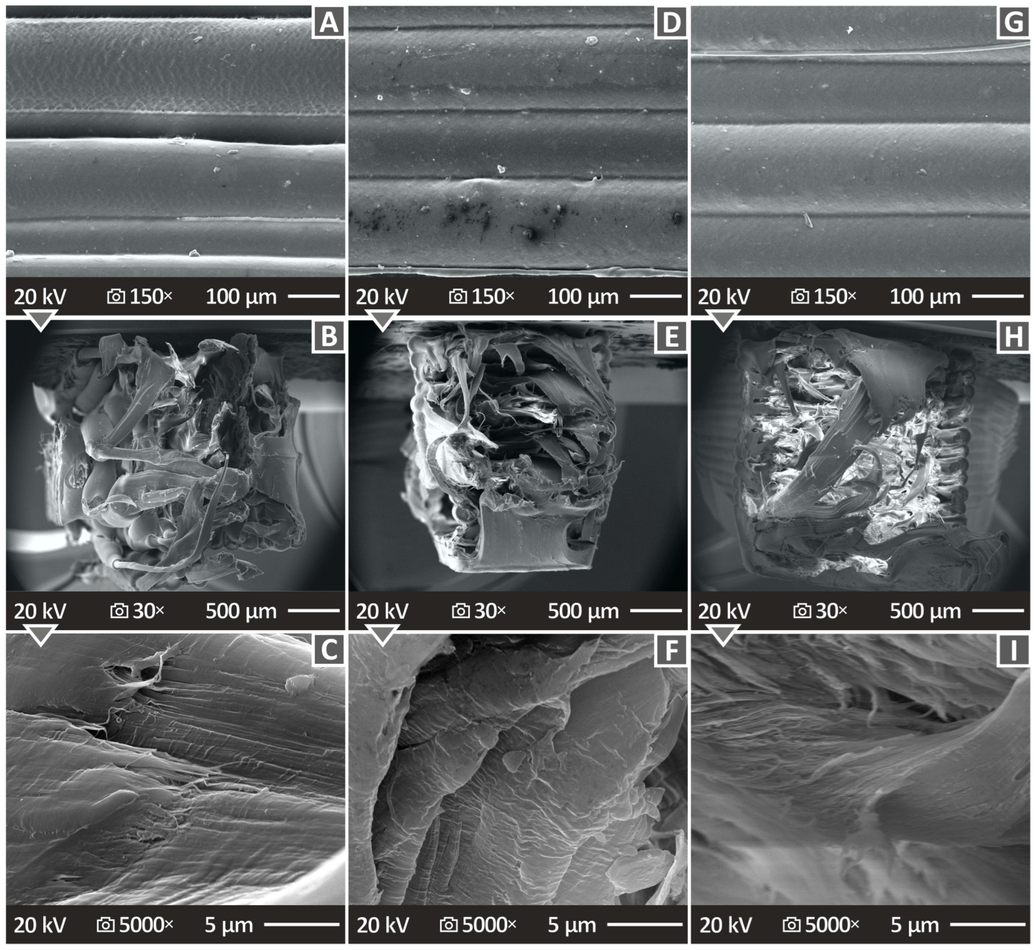 Polymers 16 01702 g013