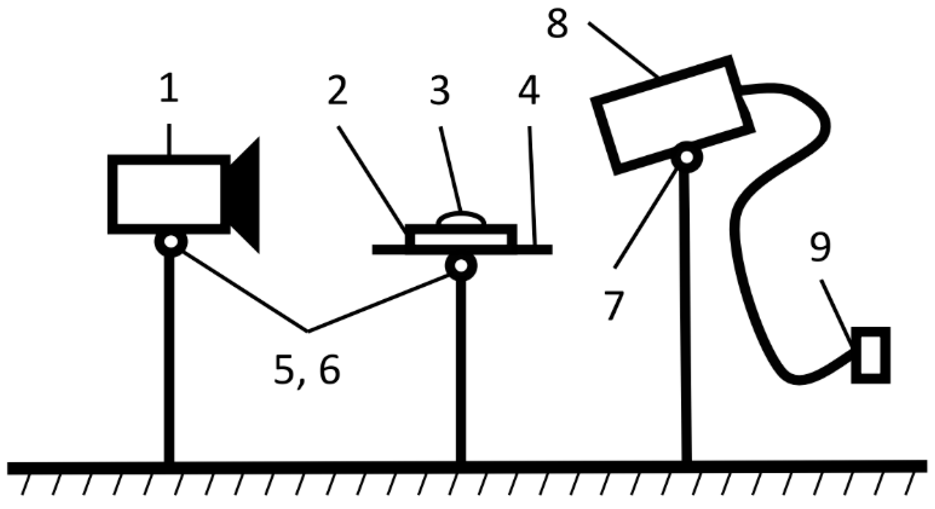 Polymers 16 01703 g001