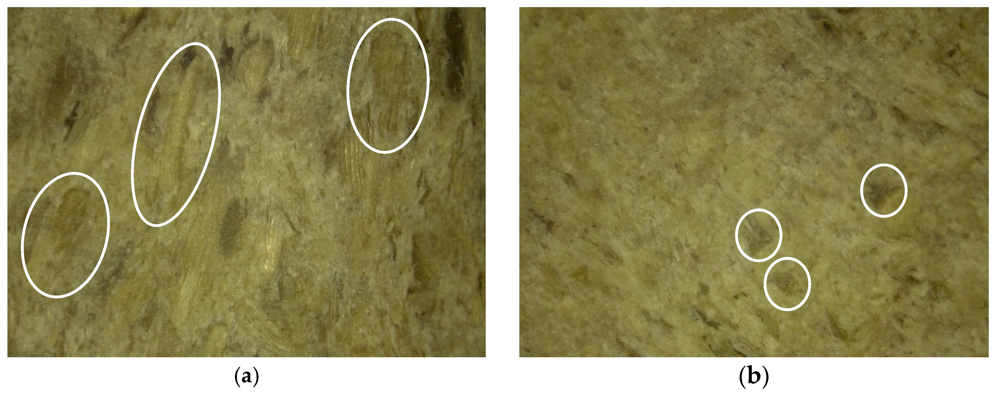 Polymers 16 01703 g011