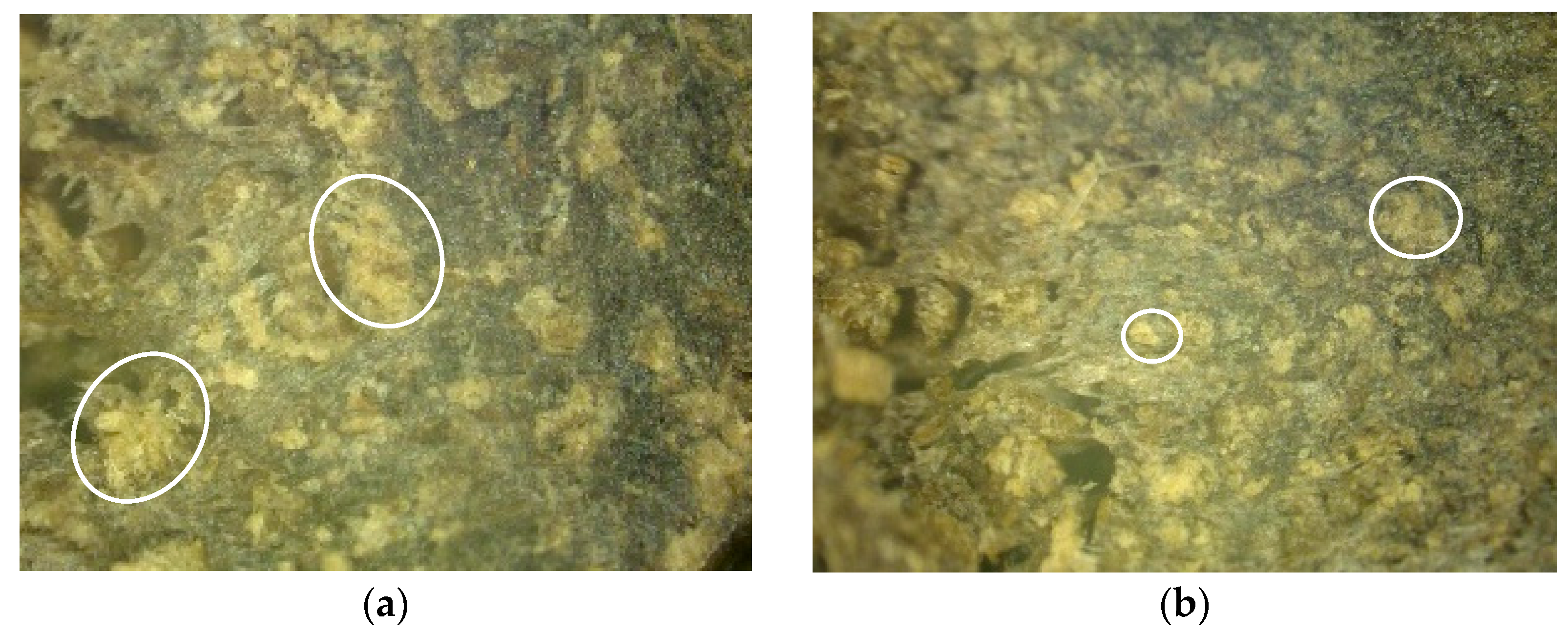 Polymers 16 01703 g013