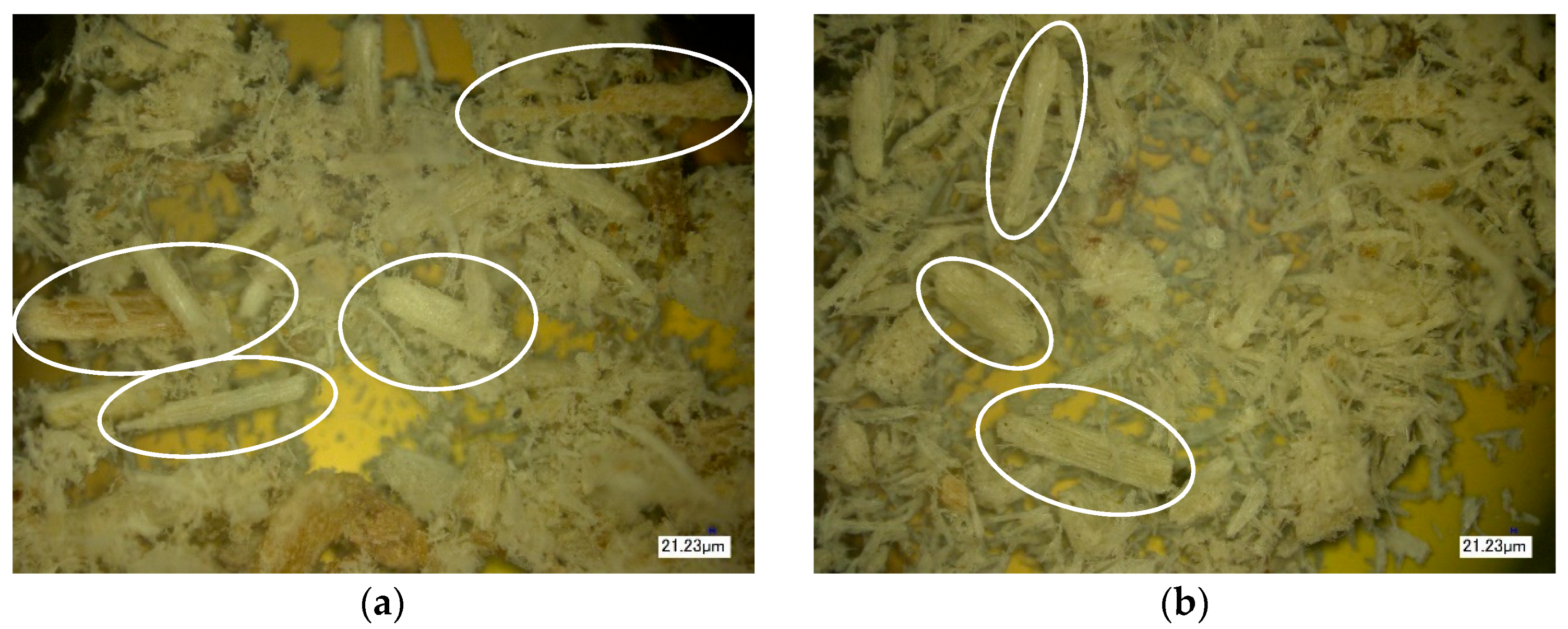 Polymers 16 01703 g014