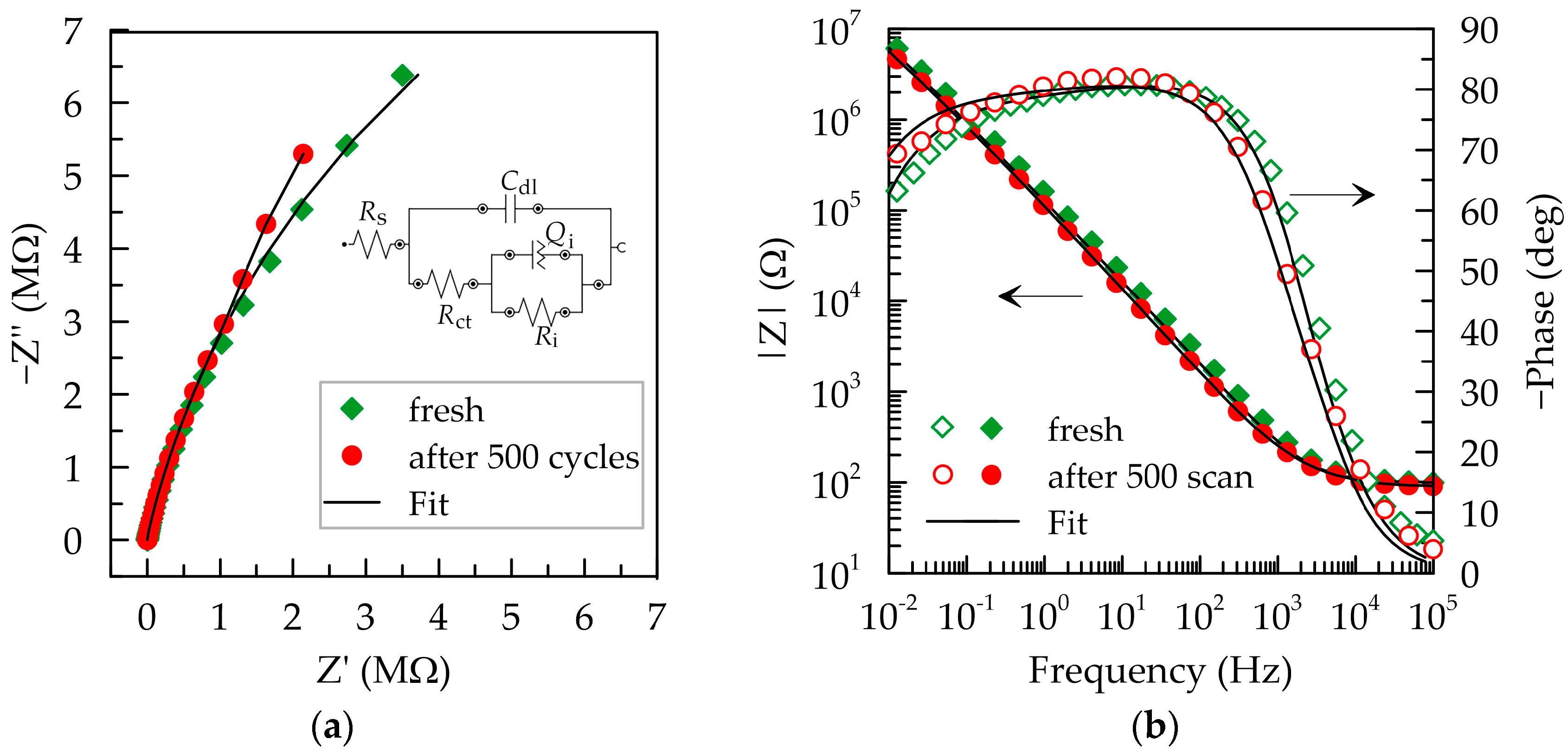 Polymers 16 01706 g005