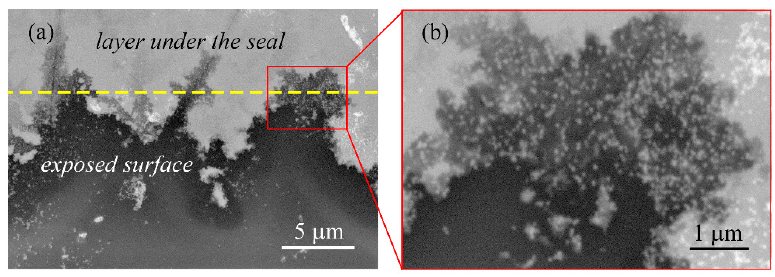 Polymers 16 01706 g010
