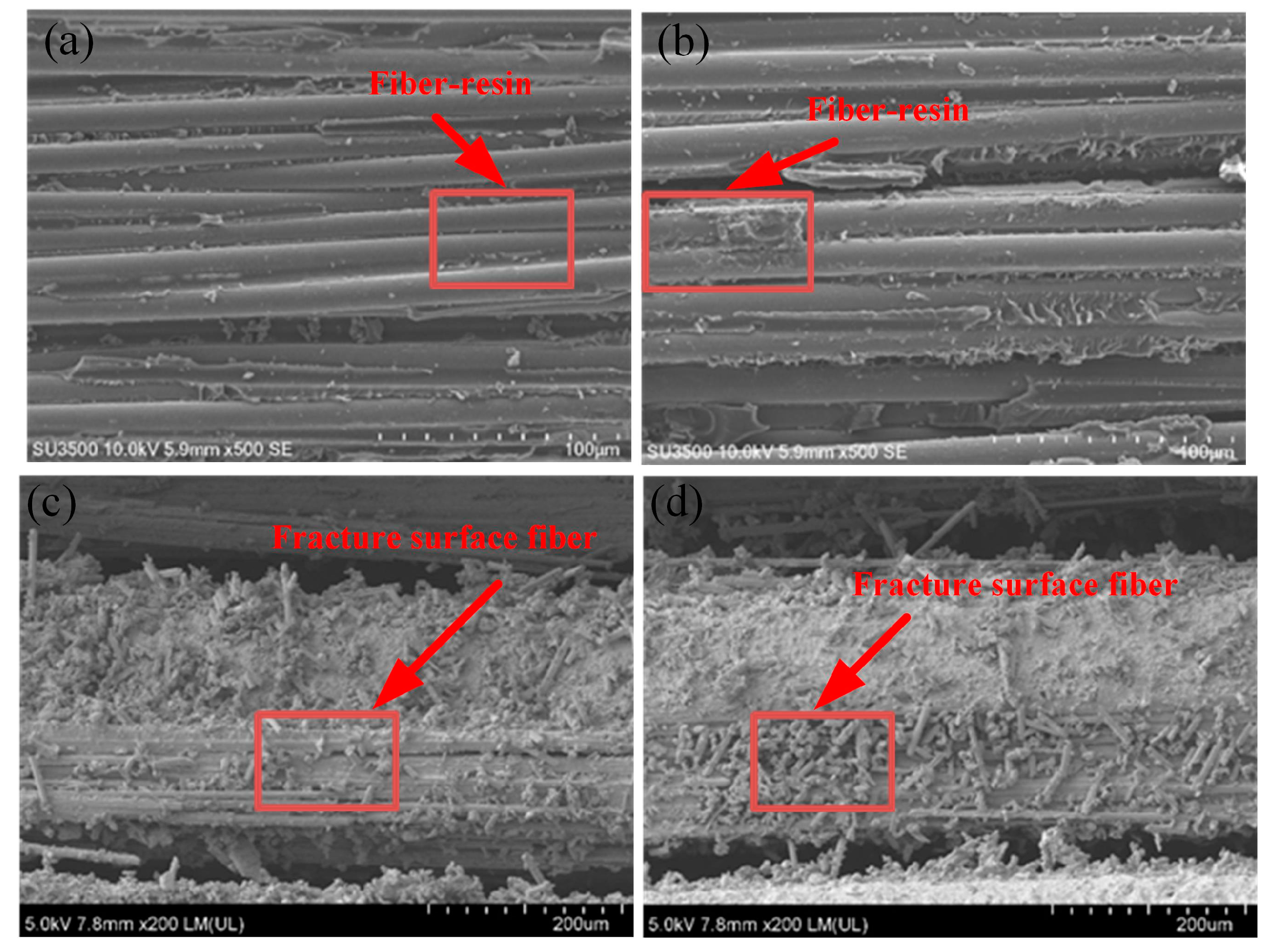 Polymers 16 01715 g009