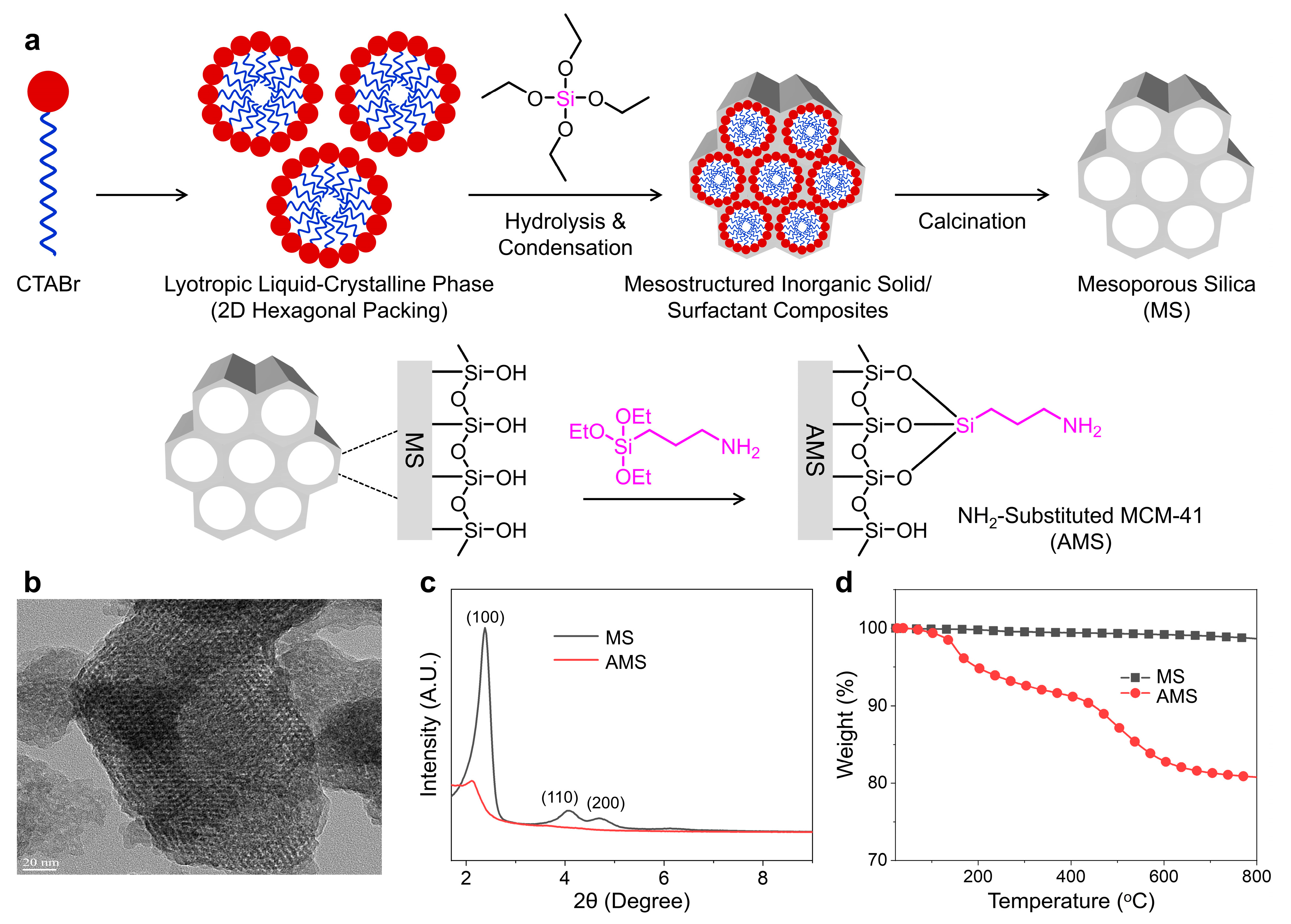 Polymers 16 01716 g001