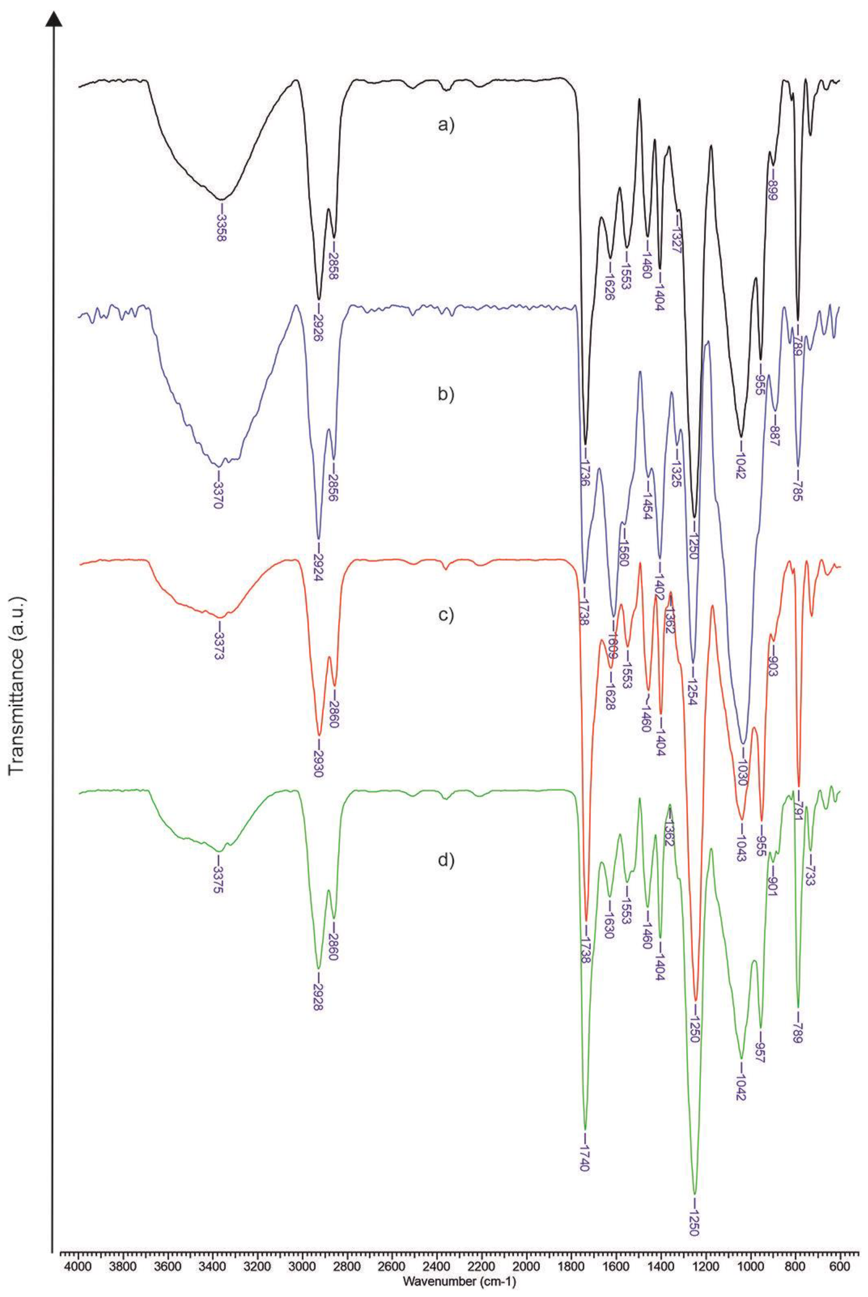 Polymers 16 01734 g004