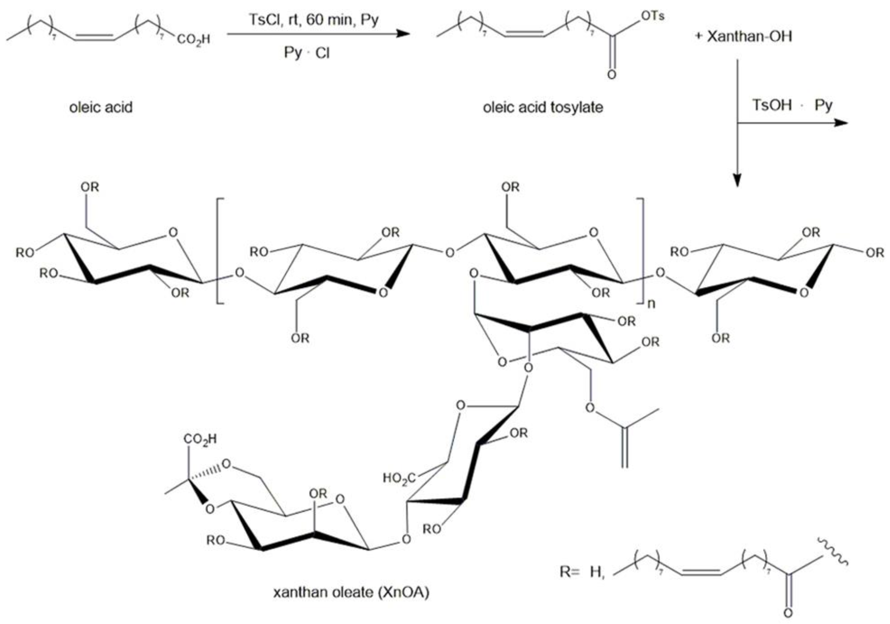 Polymers 16 01734 sch001