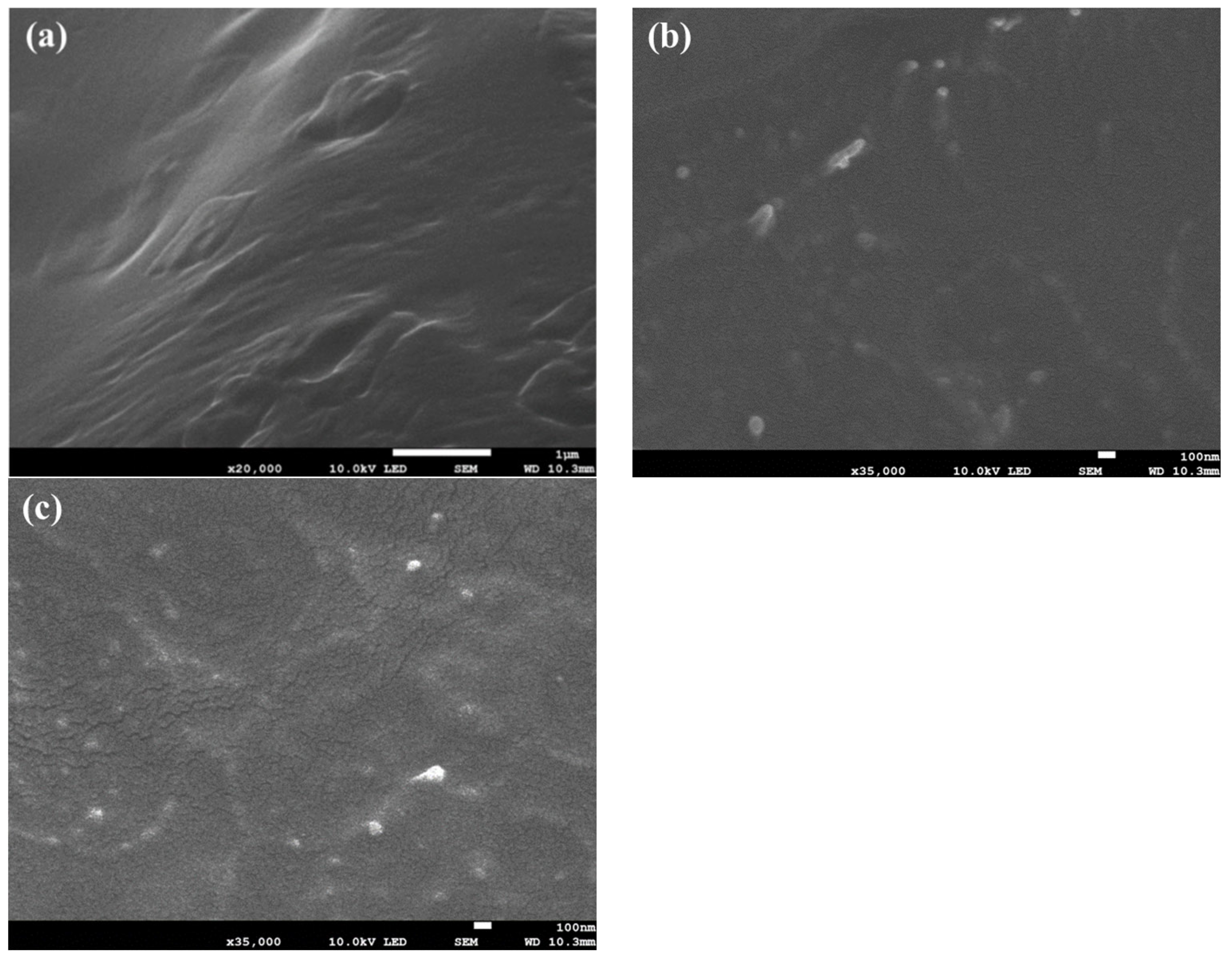 Polymers 16 01735 g002 Polymers 16 01735 g002